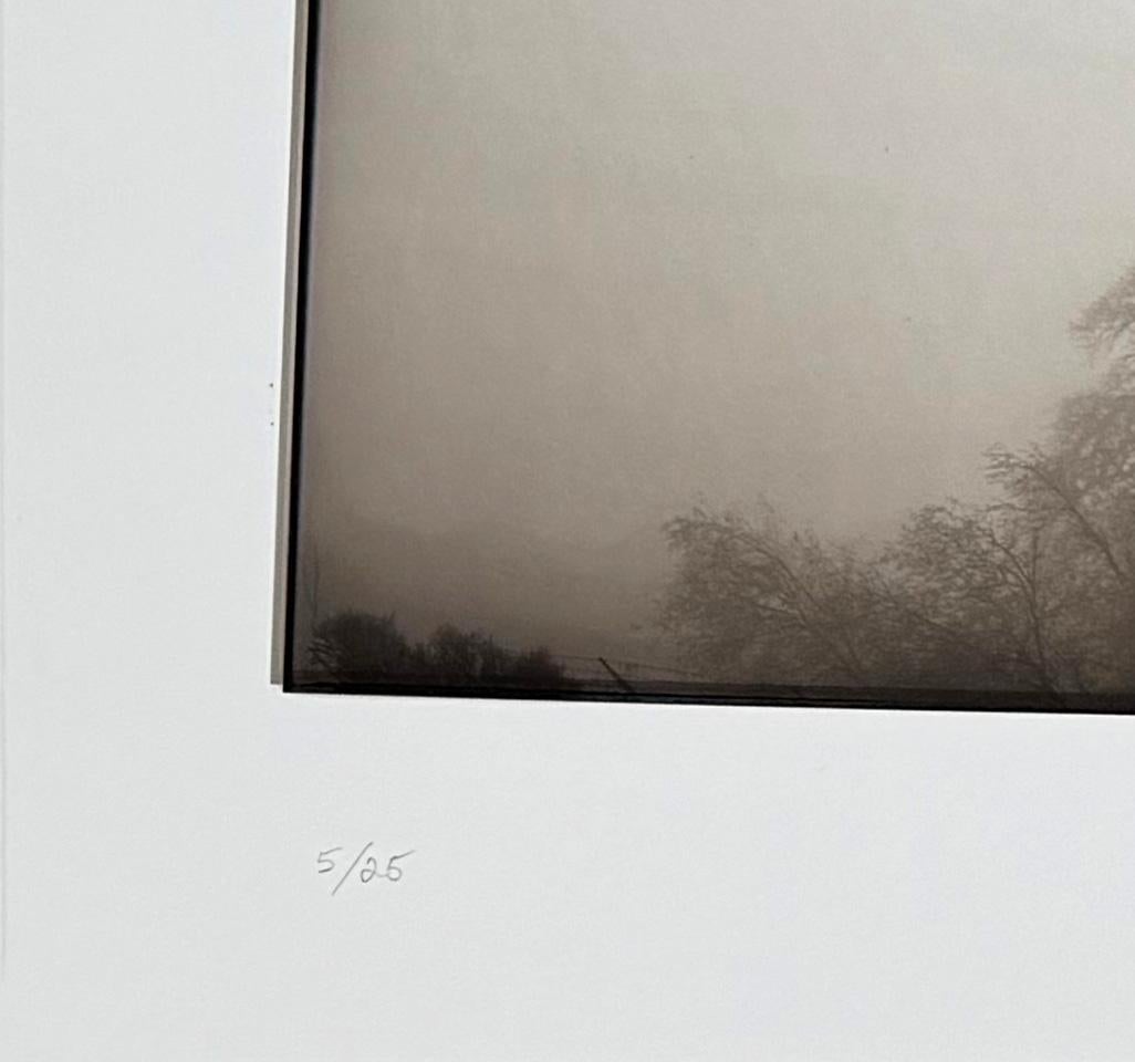Gótico californiano - Print de Mark Jenkins