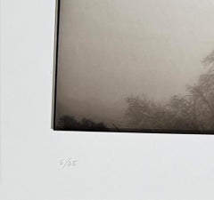 Gothique californien