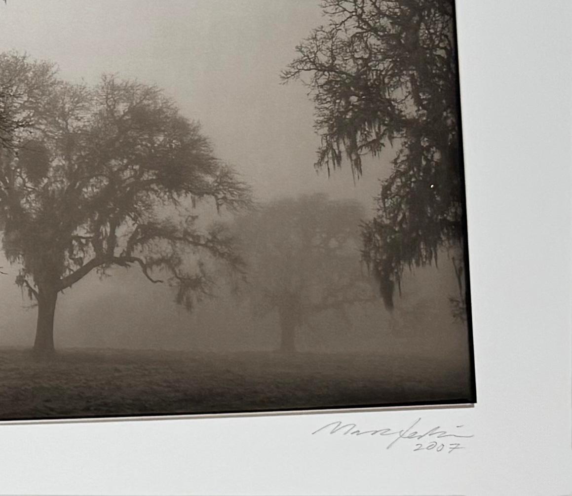 Gótico californiano - Print Realista de Mark Jenkins