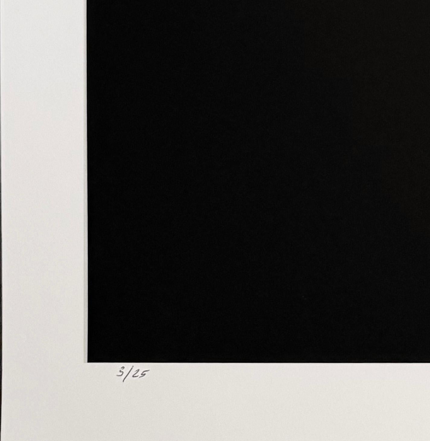 Calla, von Mark Jenkins im Angebot 2