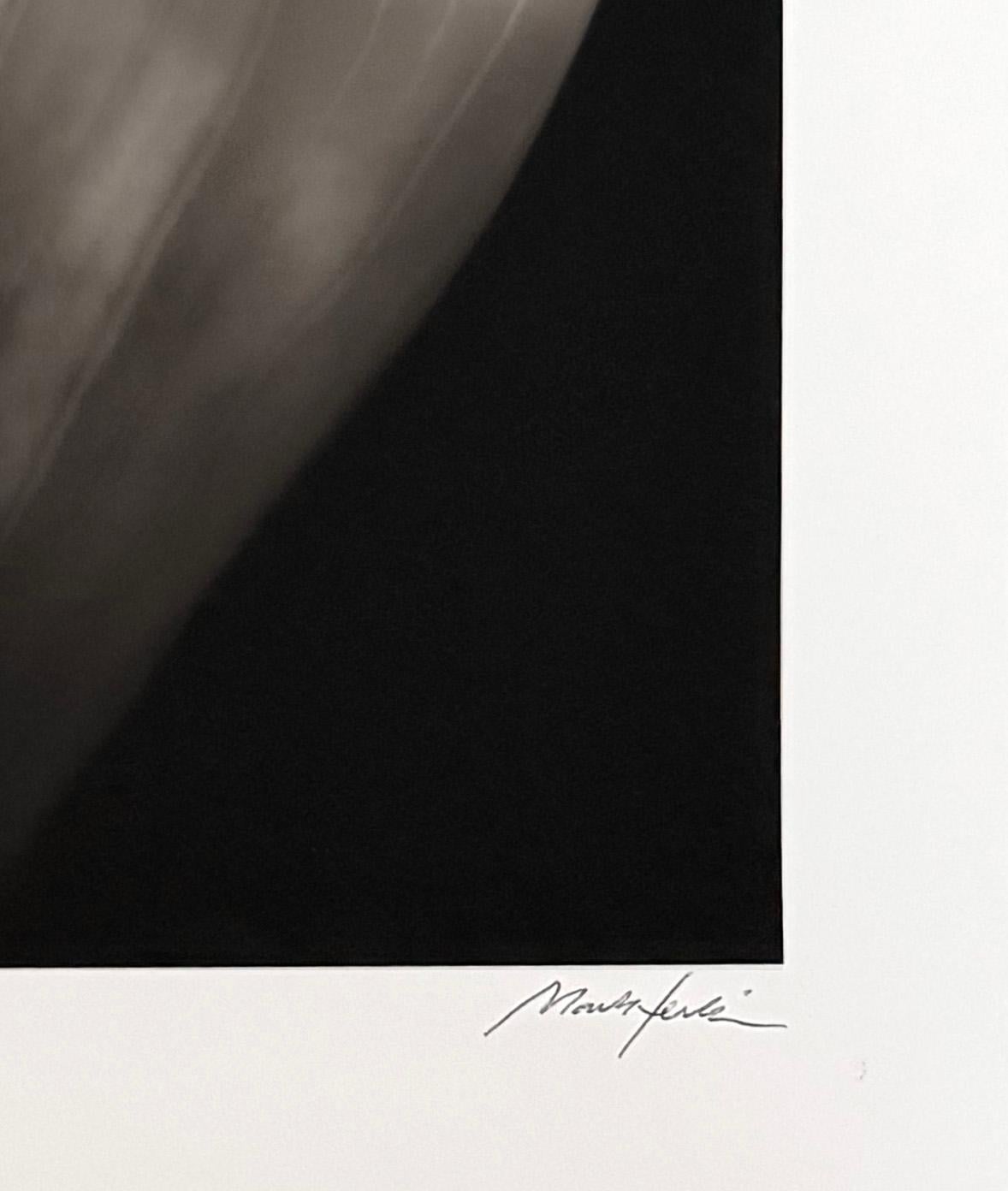Calla, von Mark Jenkins im Angebot 3