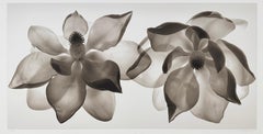 Double Magnolia de Mark Jenkins