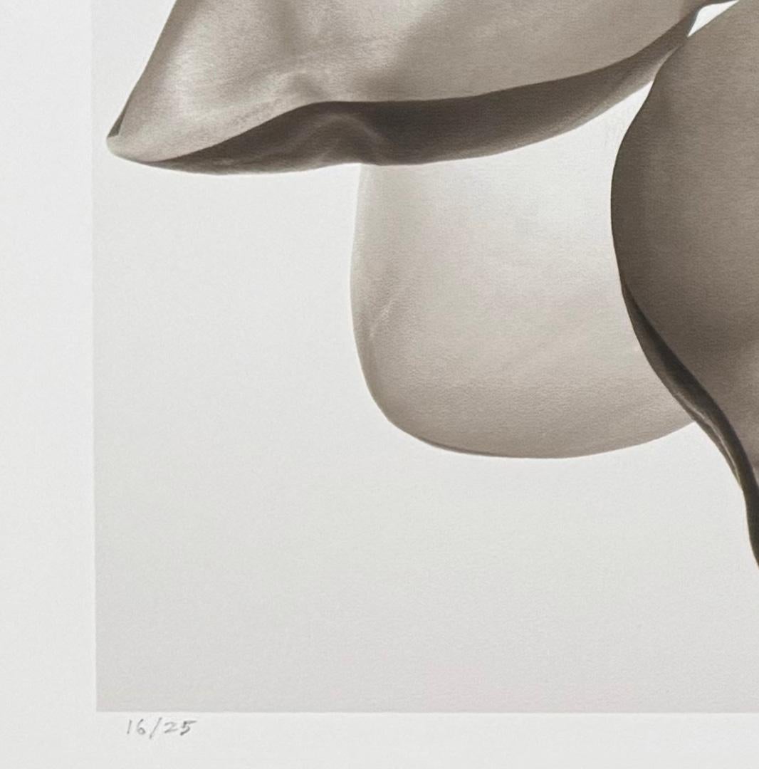 Double Magnolia, by Mark Jenkins For Sale 2