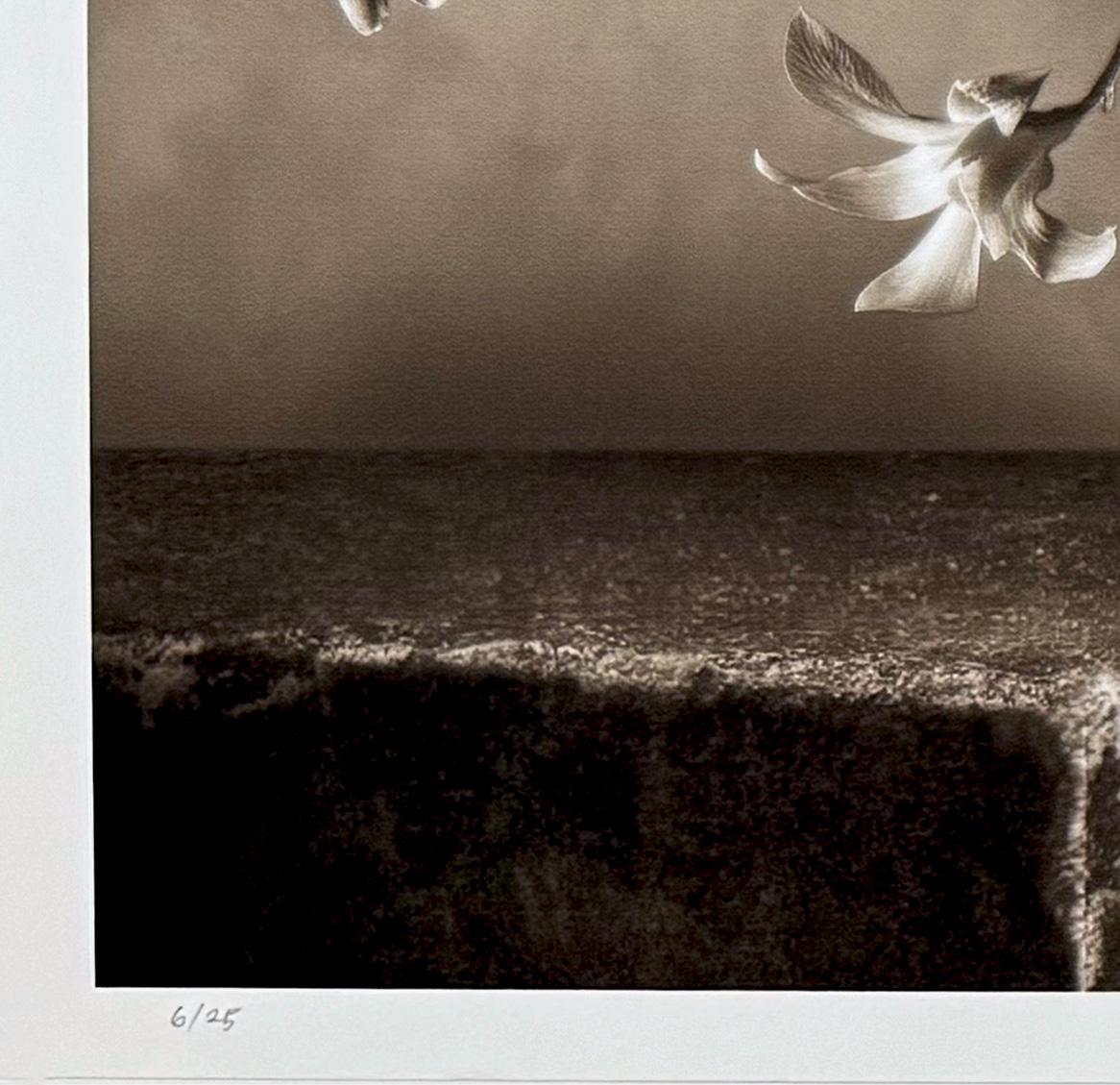 Orchid Illusion, by Mark Jenkins For Sale 2