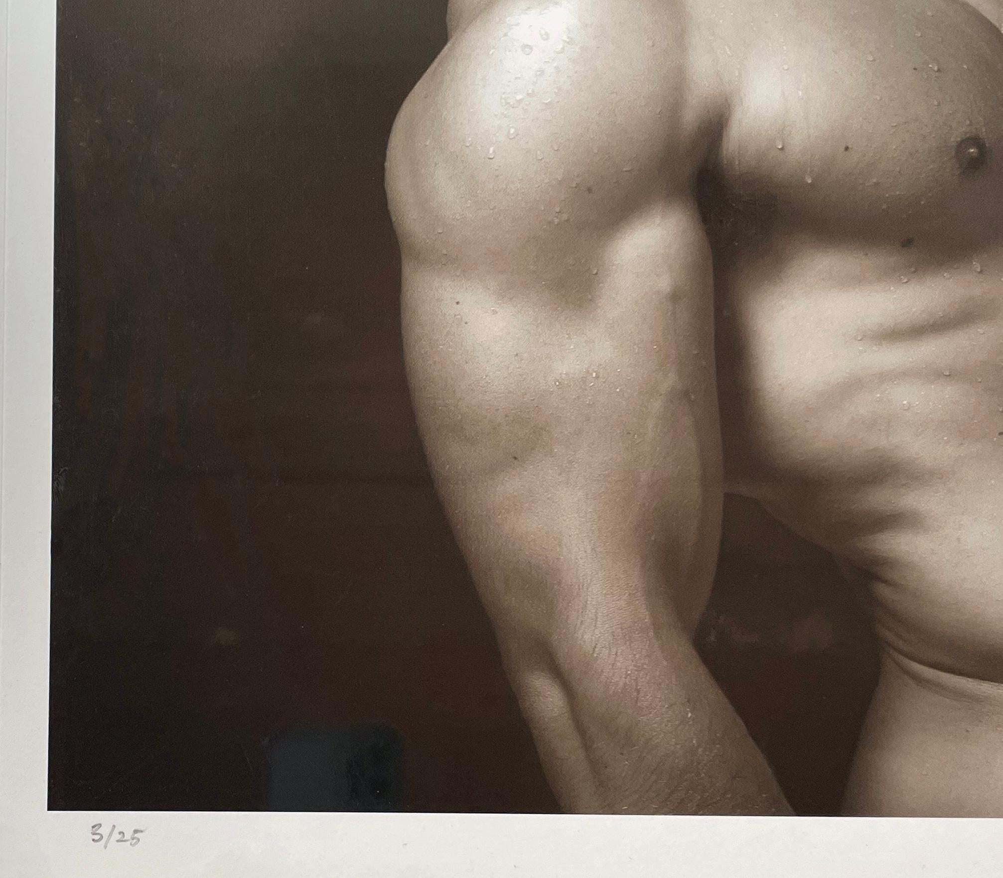 Horn, par Mark Jenkins & Jenkins en vente 2