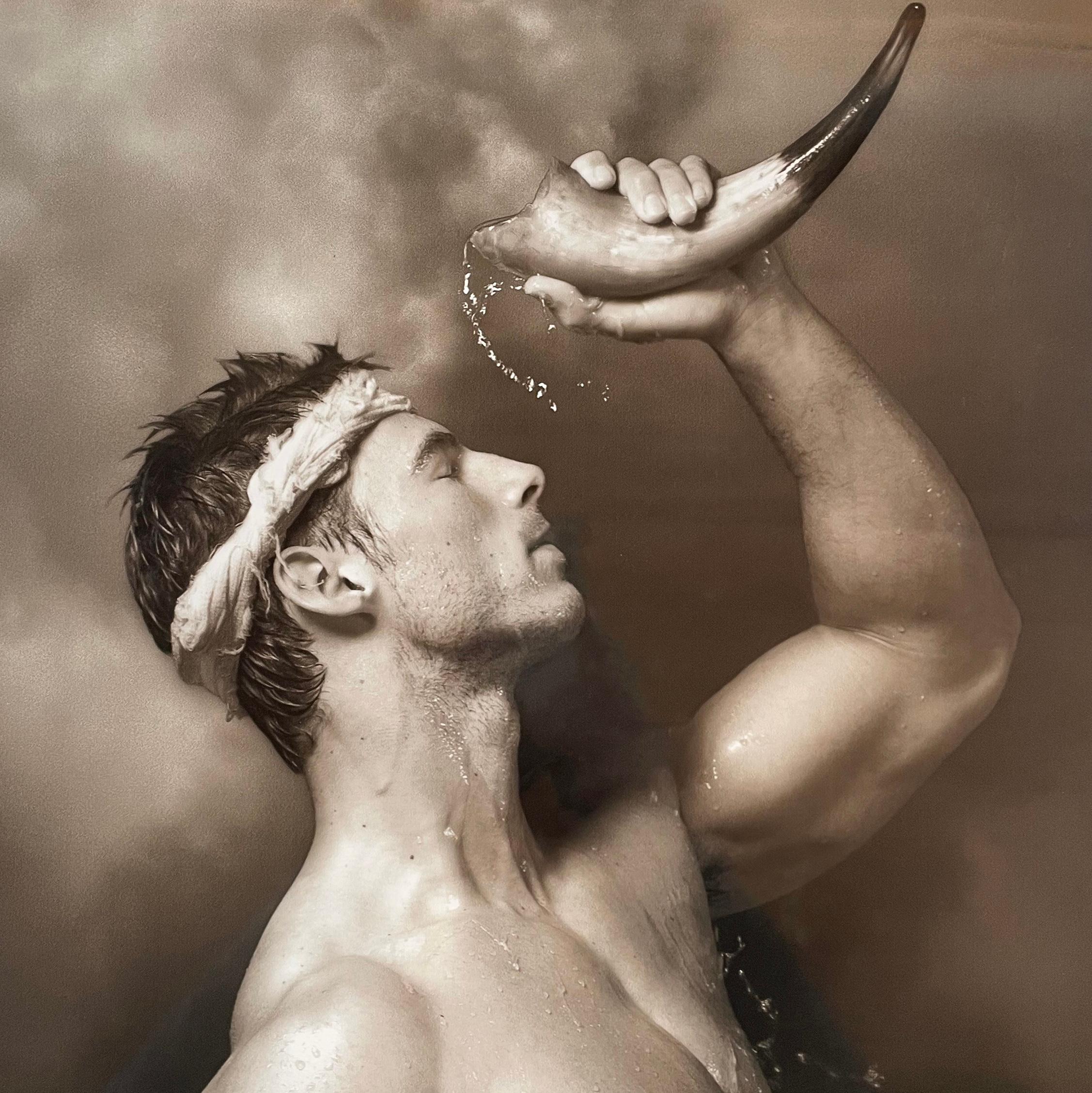 Horn, par Mark Jenkins & Jenkins en vente 1