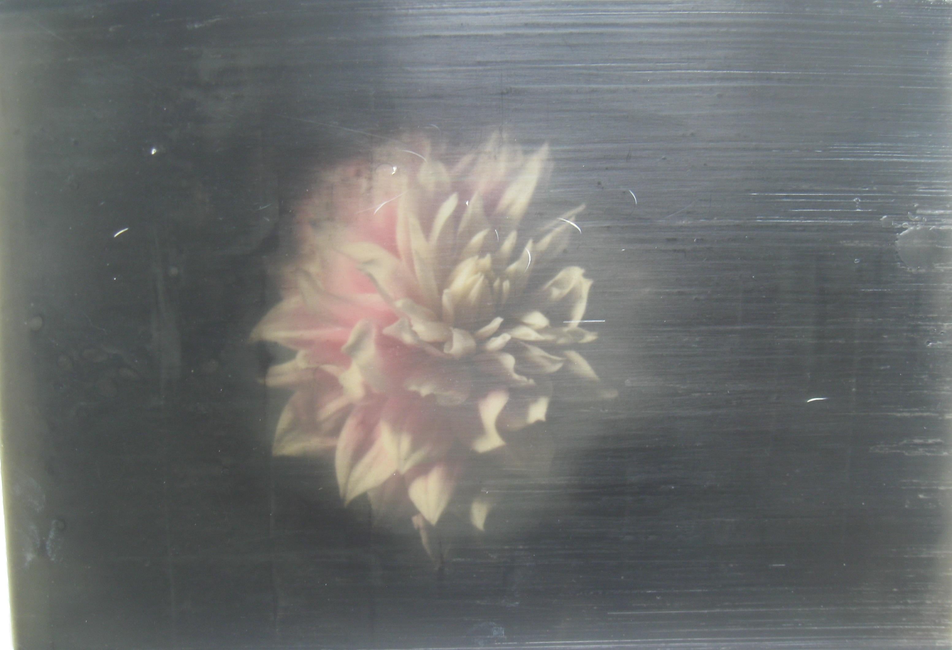 'Flower Bloom, Shift'. oil paint, encaustic wax on paper. Circa 2021. - Painting by Mark Karasick