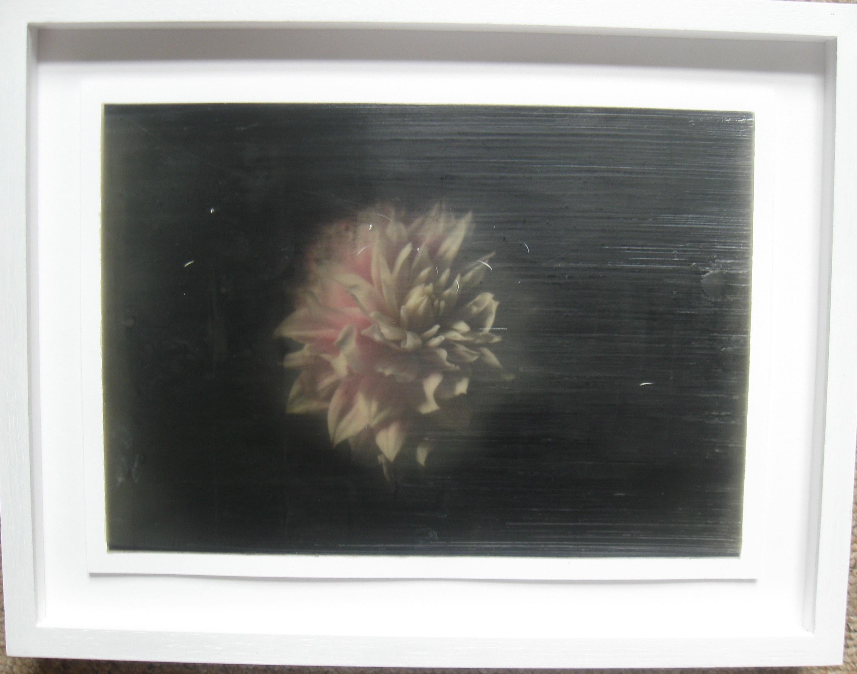 'Flower Bloom, Shift'. oil paint, encaustic wax on paper. Circa 2021.