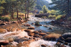"Hill Country River"  Texas realism Gorgeous
