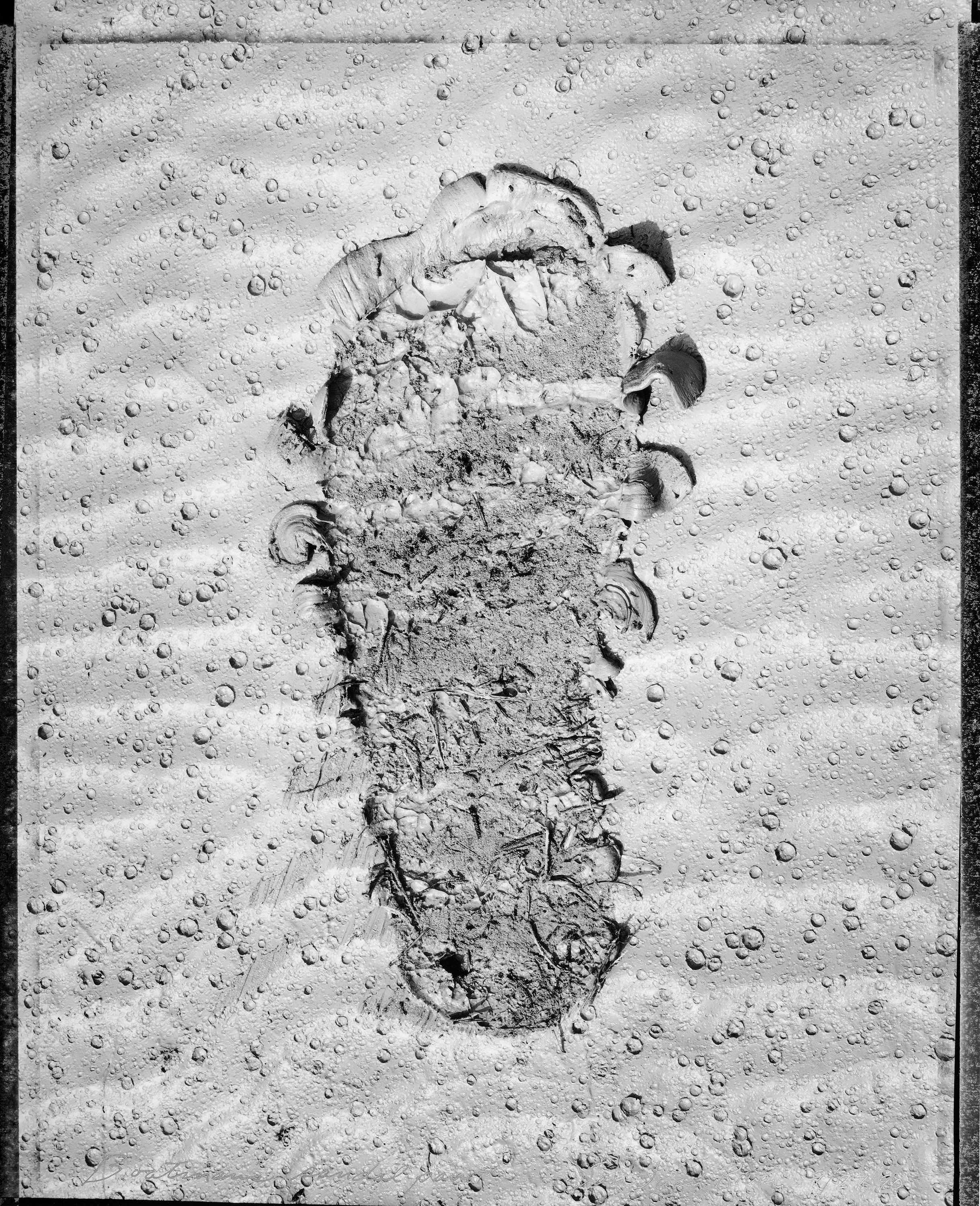 Mark Klett Black and White Photograph - Boatmans sandal print, San Juan River, 9/27/90 