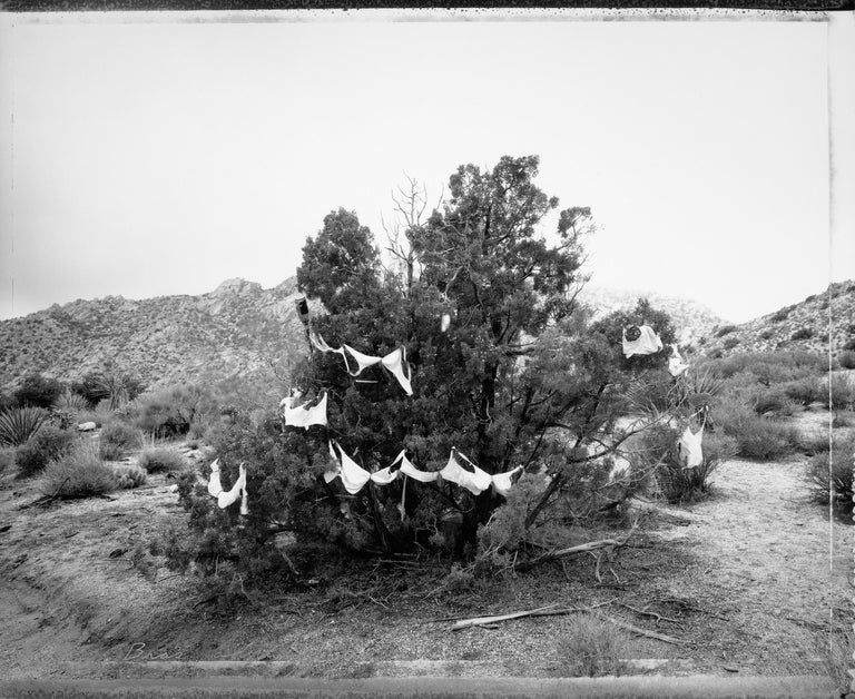 Mark Klett Black and White Photograph - Bras adorning a juniper, Christmas Tree Pass 