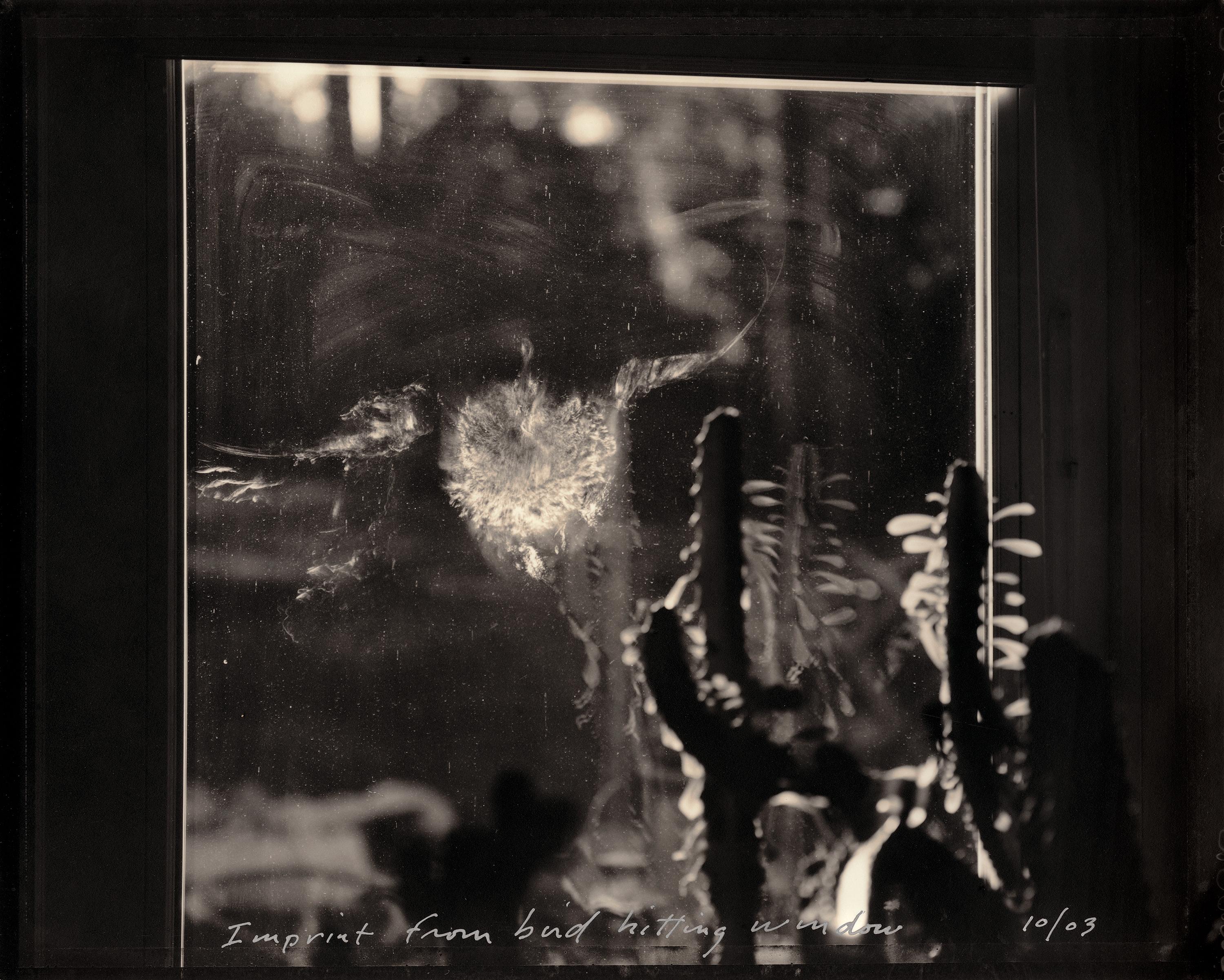 Mark Klett Black and White Photograph - Imprint from Bird Hitting Window 