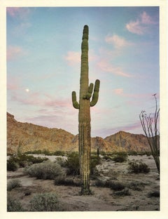 ""Saguaro ( nuages rouges de Dusk, lune, lune)" paysage cactus photography des montagnes du désert
