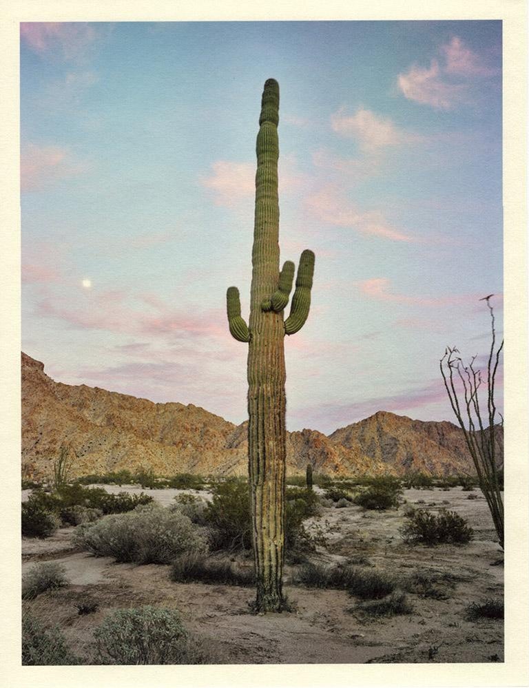 Mark Klett Landscape Photograph - "Saguaro (dusk red clouds moon)" cactus landscape desert photography mountains