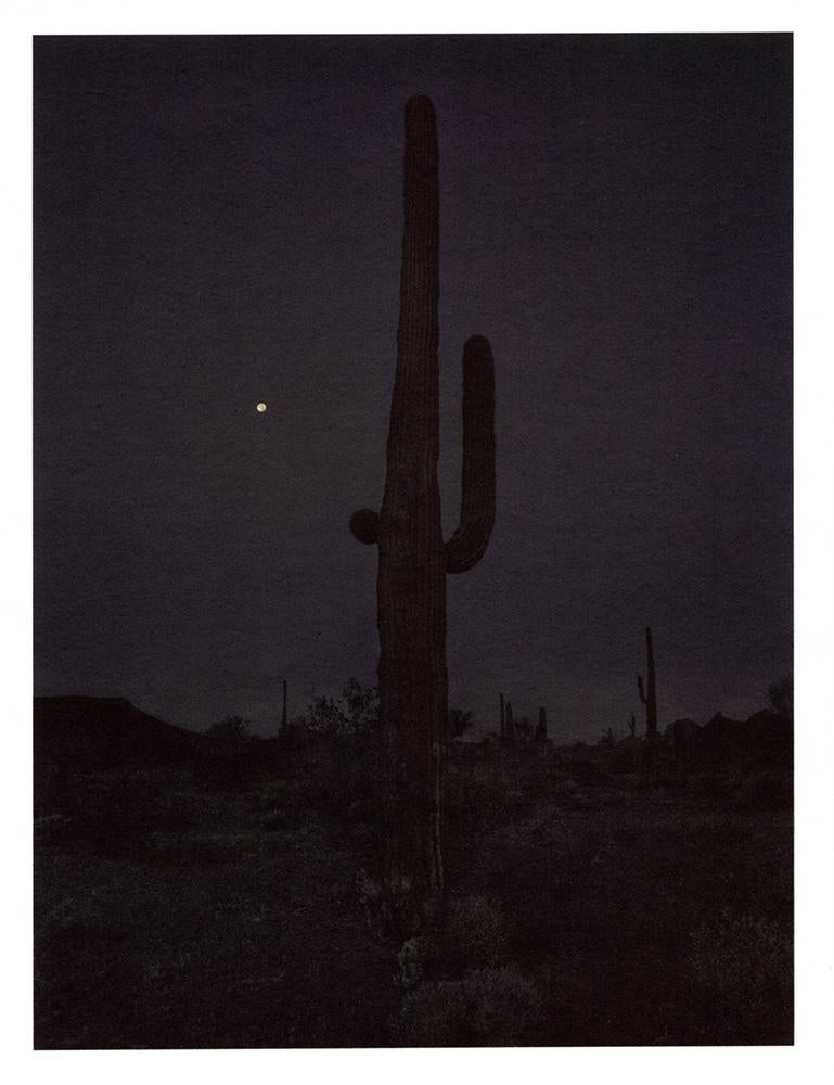 Mark Klett Landscape Photograph - "Saguaro (in darkness with moon)" cactus landscape desert photography mountains 