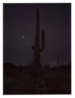 "Saguaro (in darkness with moon)" cactus landscape desert photography mountains 