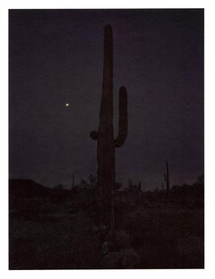 "Saguaro (in darkness with moon)" cactus landscape desert photography mountains