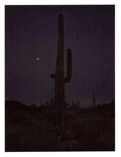 « Saguaro (dans l'obscurité avec la lune) », paysage cactus, photographie de montagnes du désert 