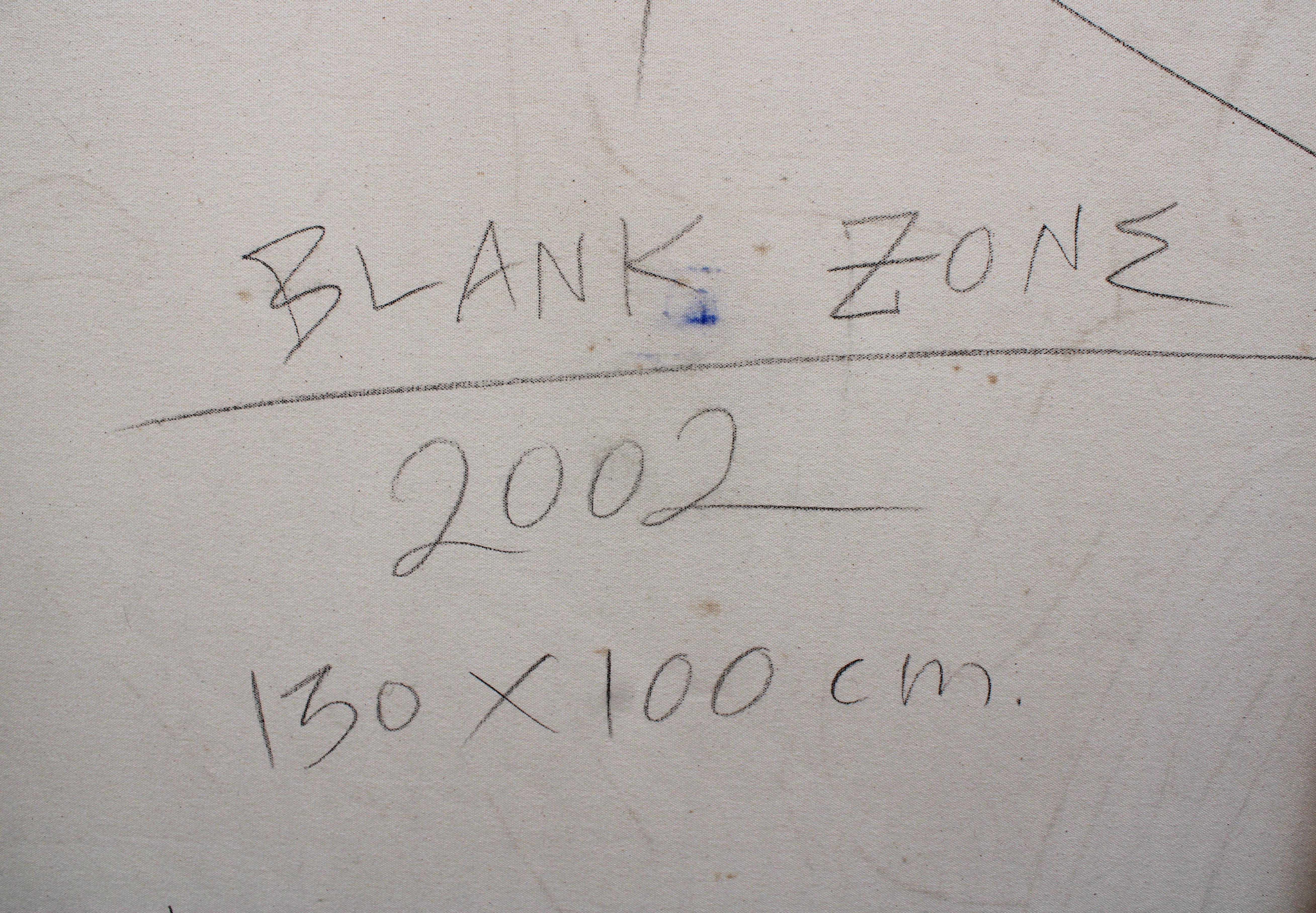 Blank Zone For Sale 7