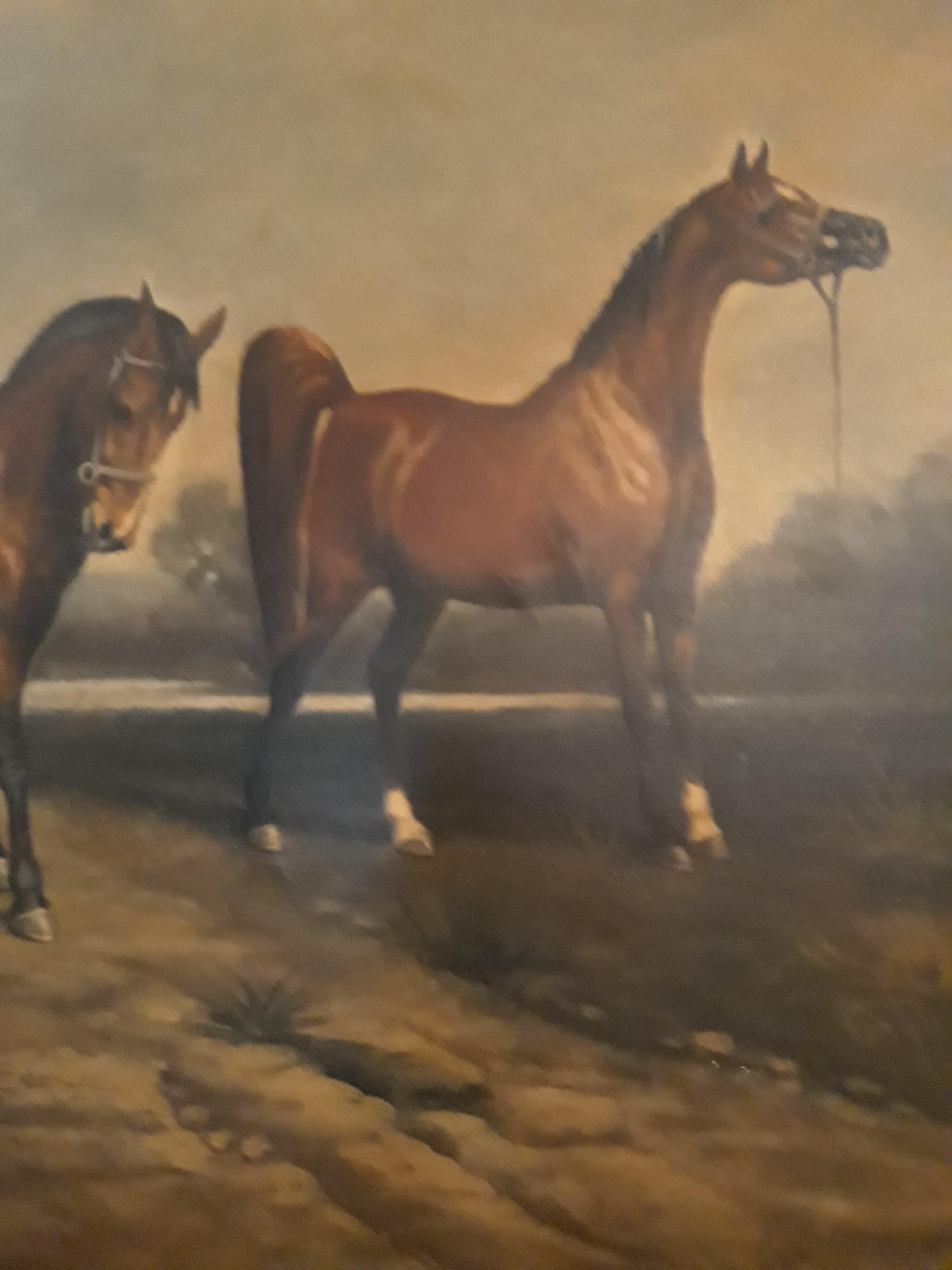 Italian Mark Mayer Impressive Oil on Canvas, 20th Century, Horse Scene For Sale