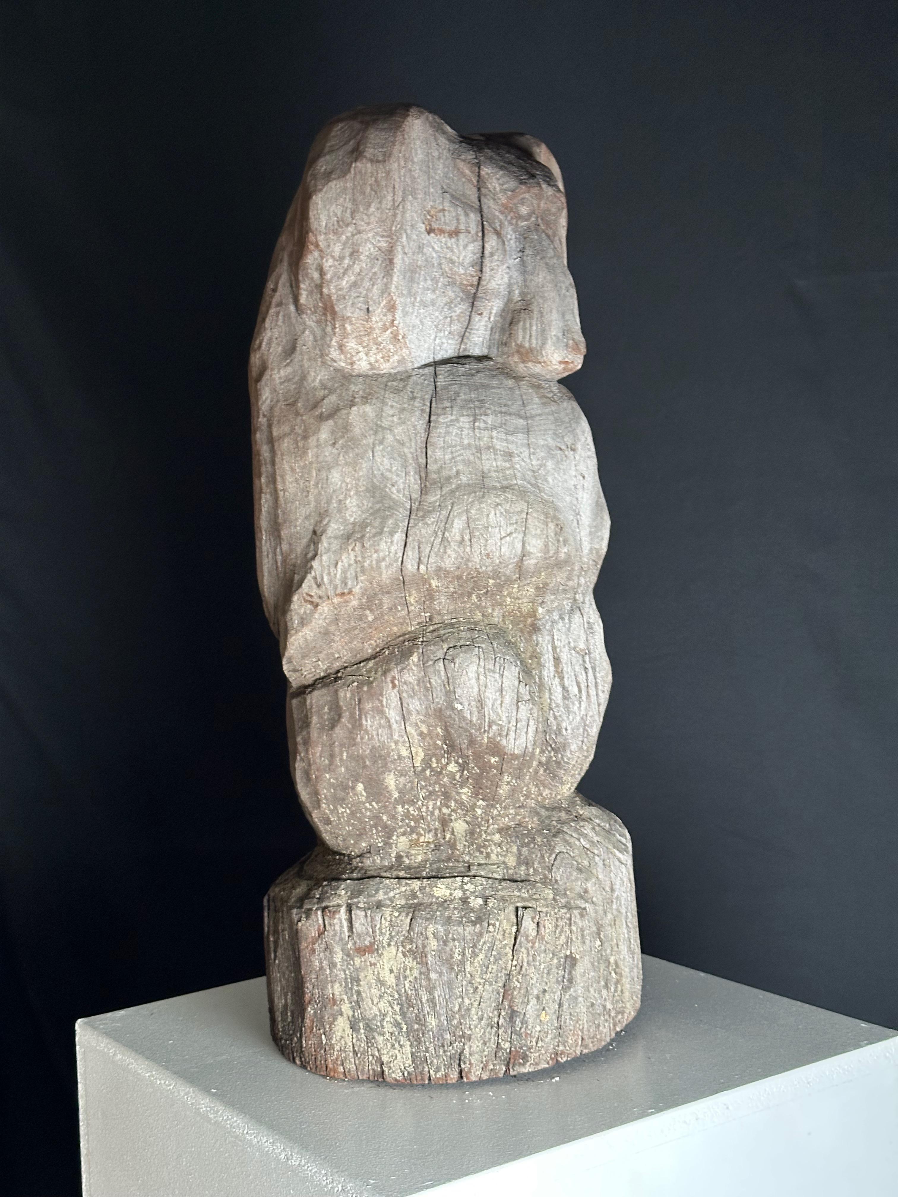 Baboon For Sale 8