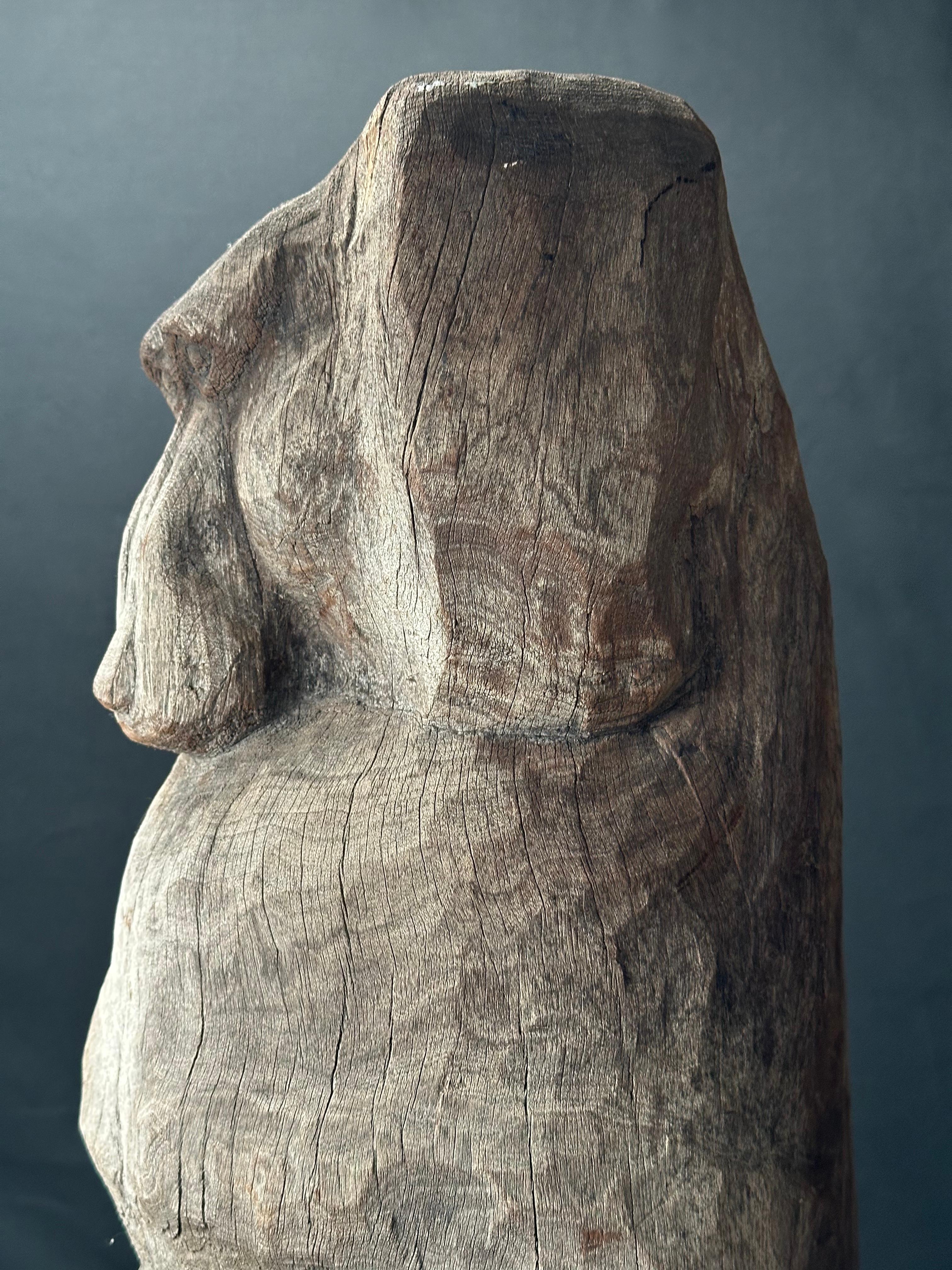 Baboon For Sale 1