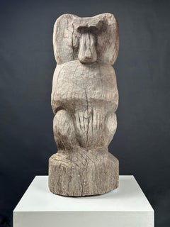 Baboon