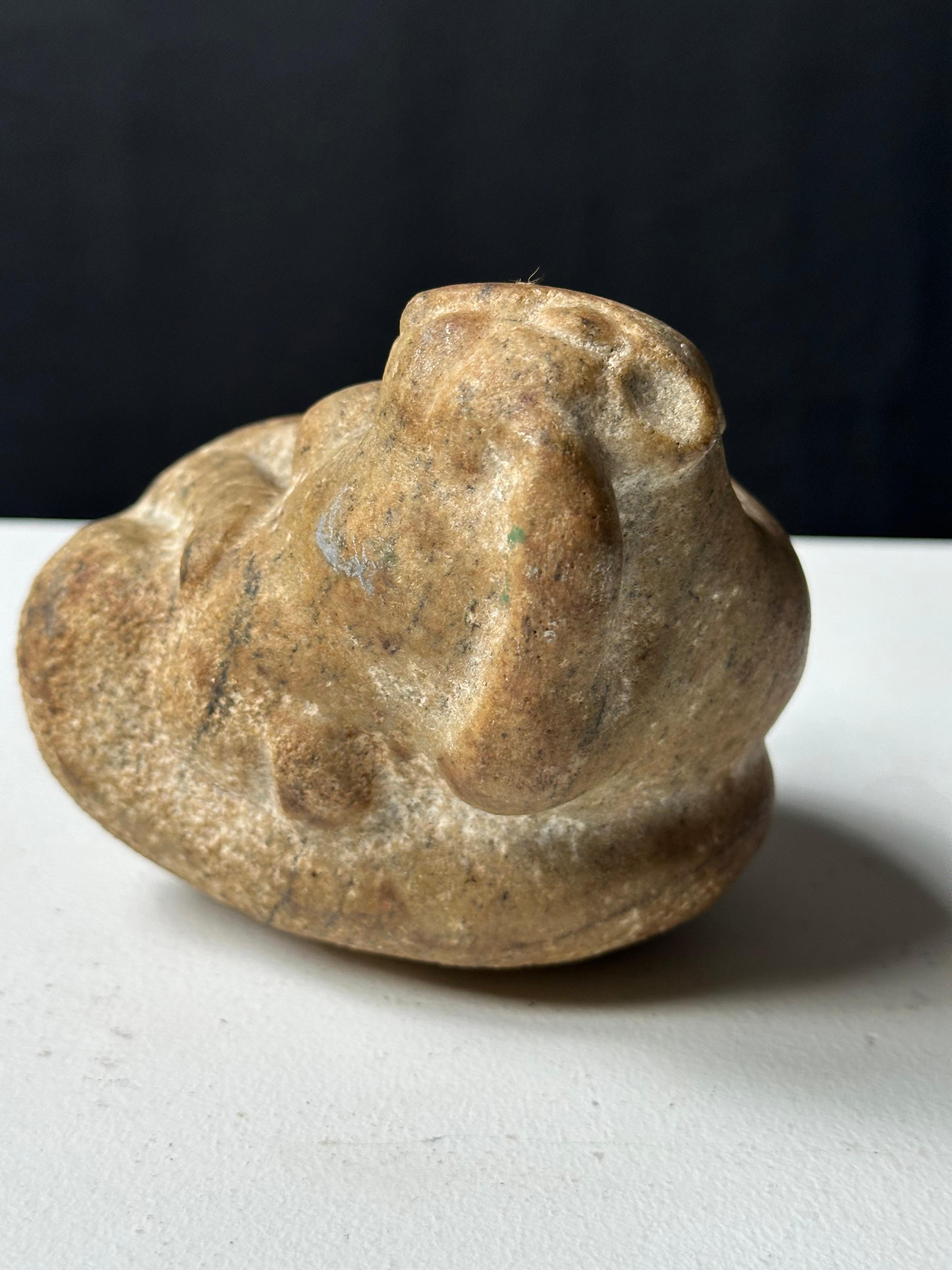 Ardilla - Sculpture Realista de Mark Morrison