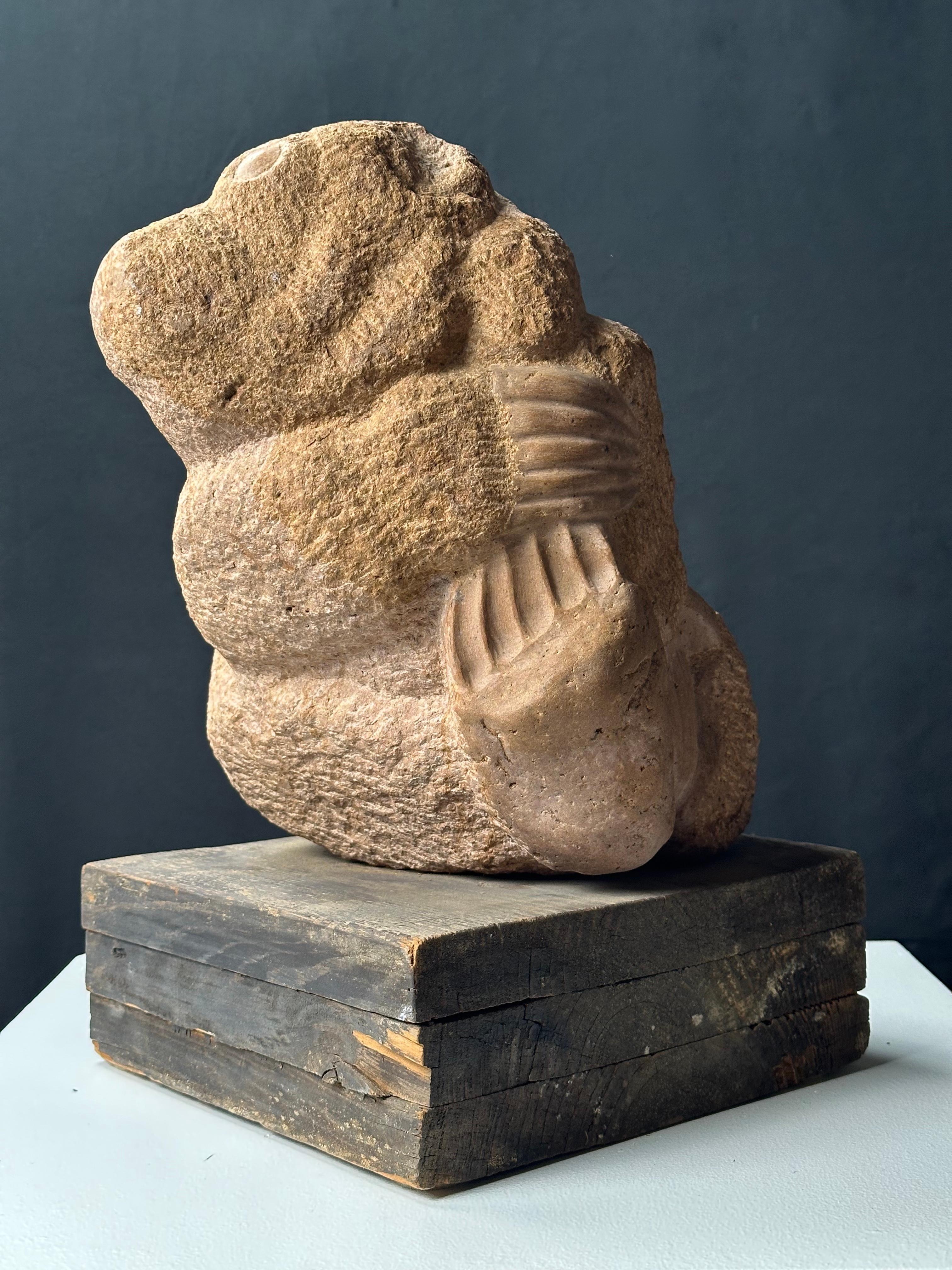 Oso Canela - Sculpture Realista de Mark Morrison