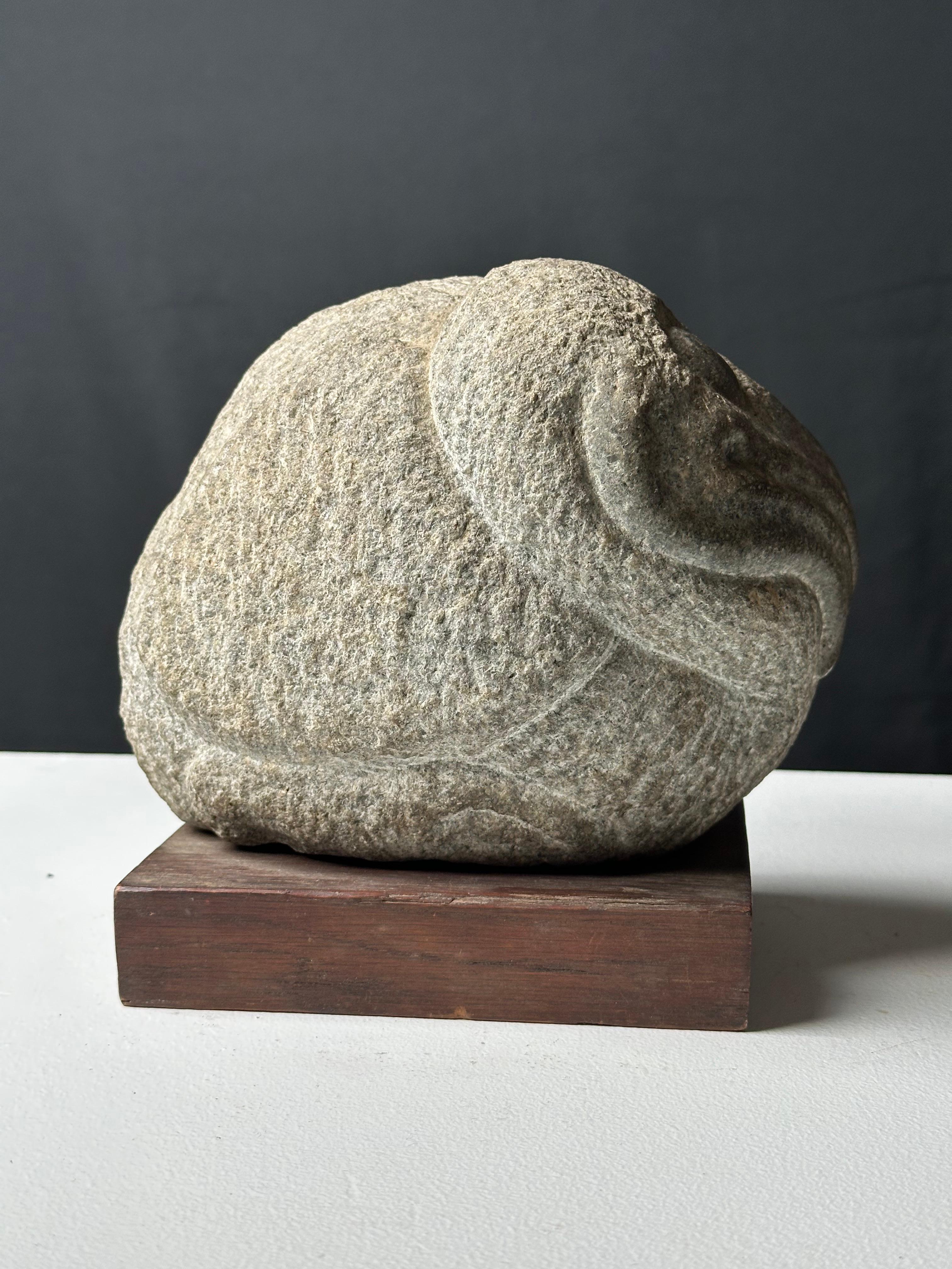 Uccello Dodo - Sculpture Realismo di Mark Morrison