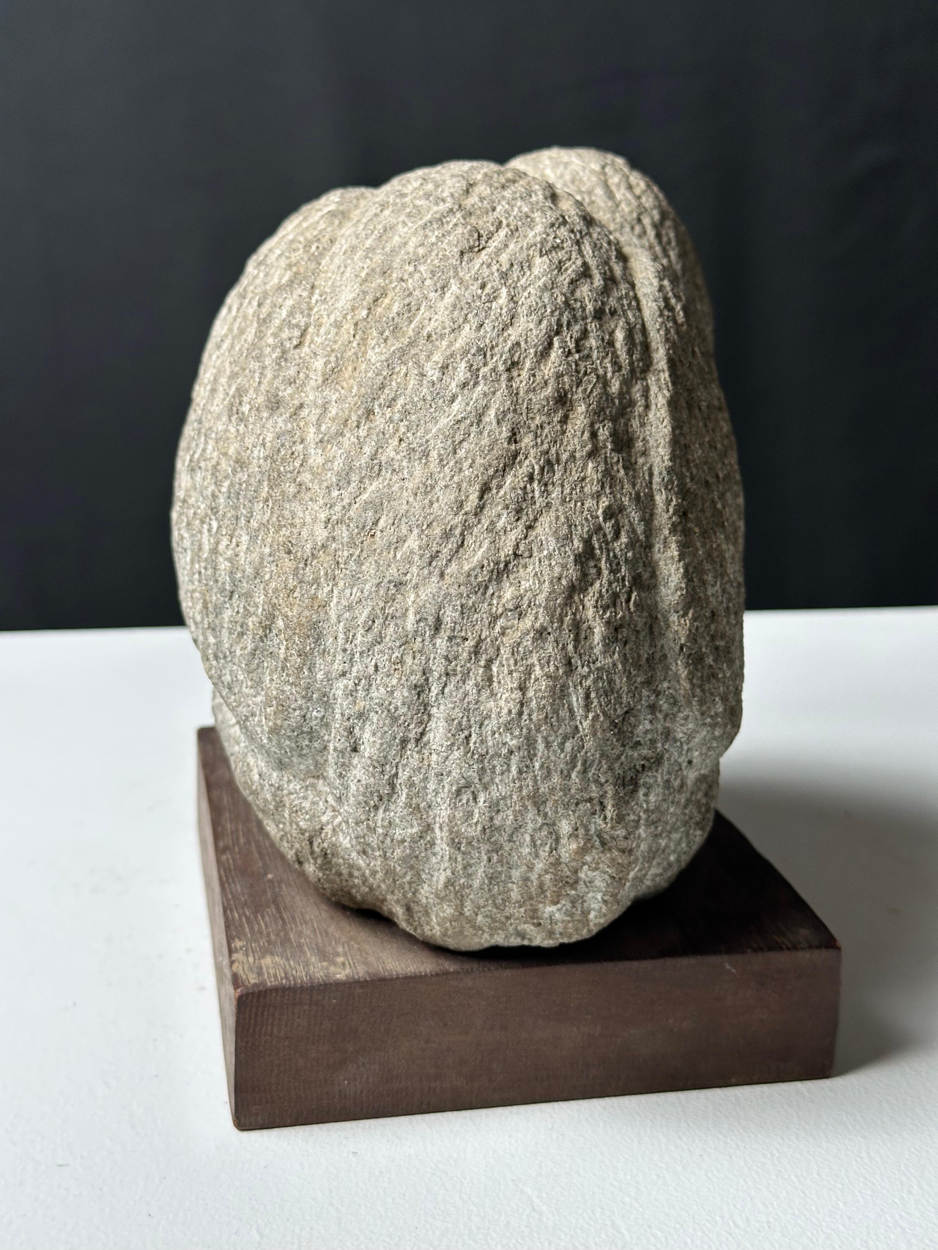 Uccello Dodo in vendita 5
