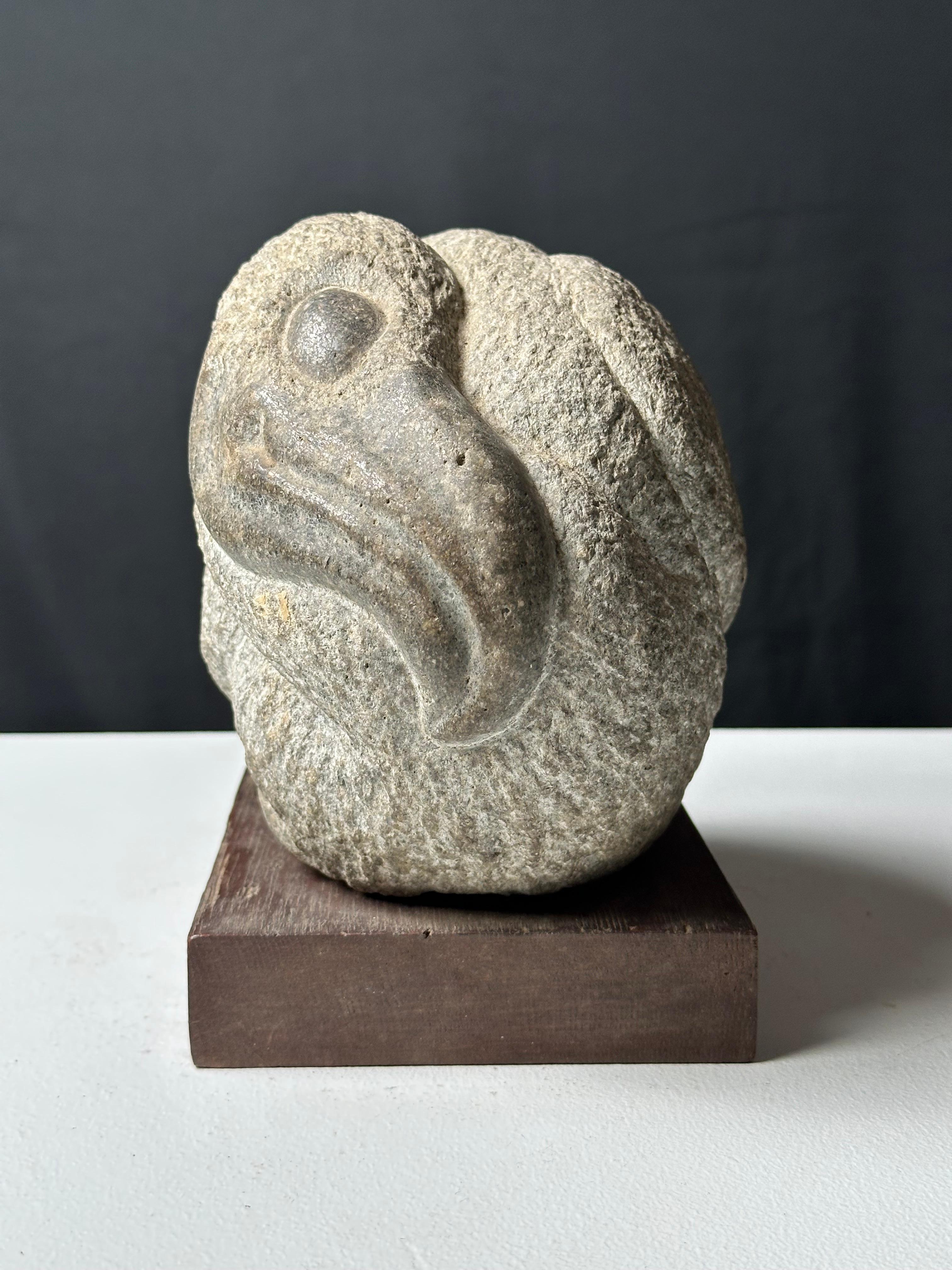 Pájaro Dodo