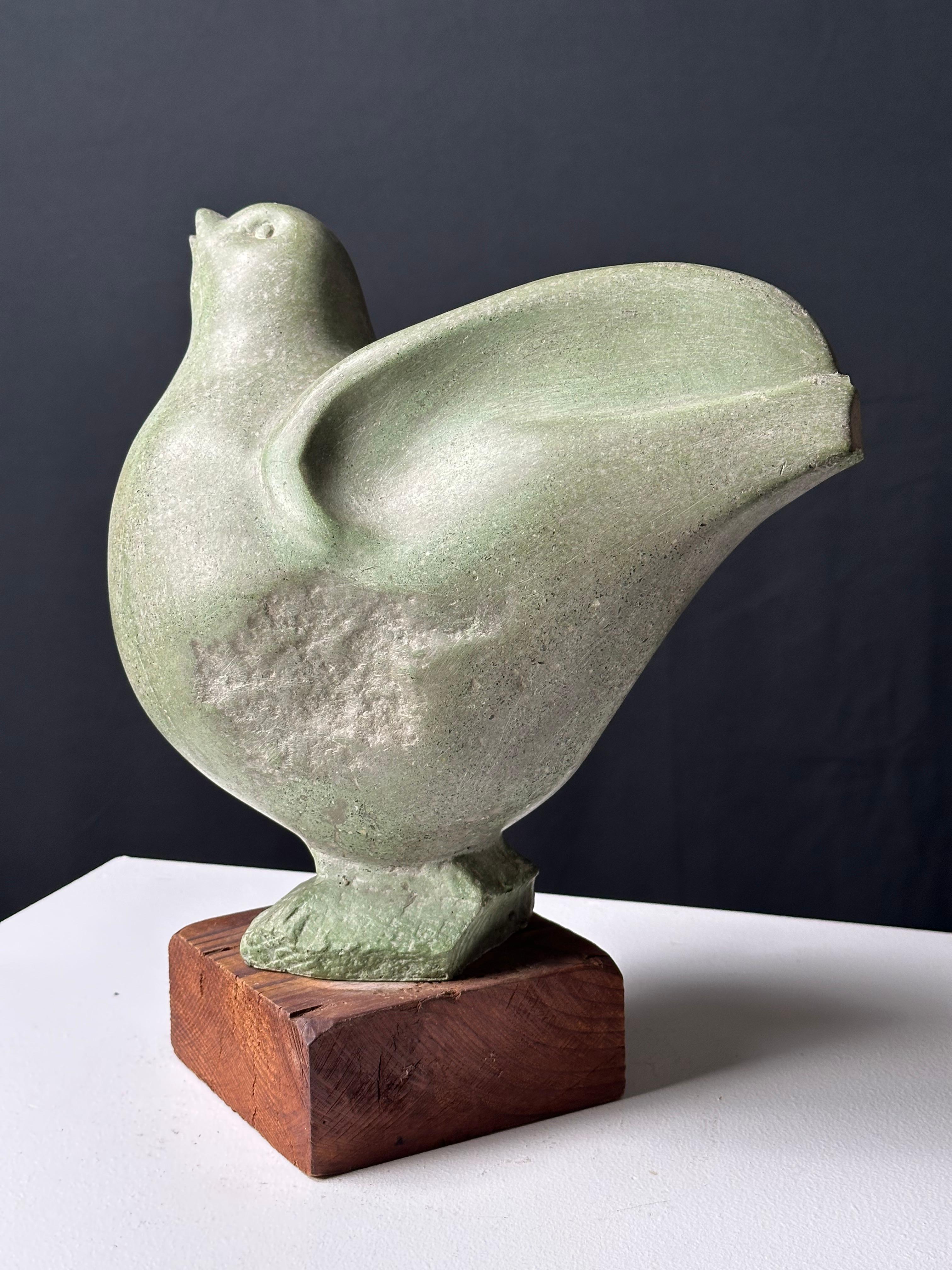 Dove For Sale 2