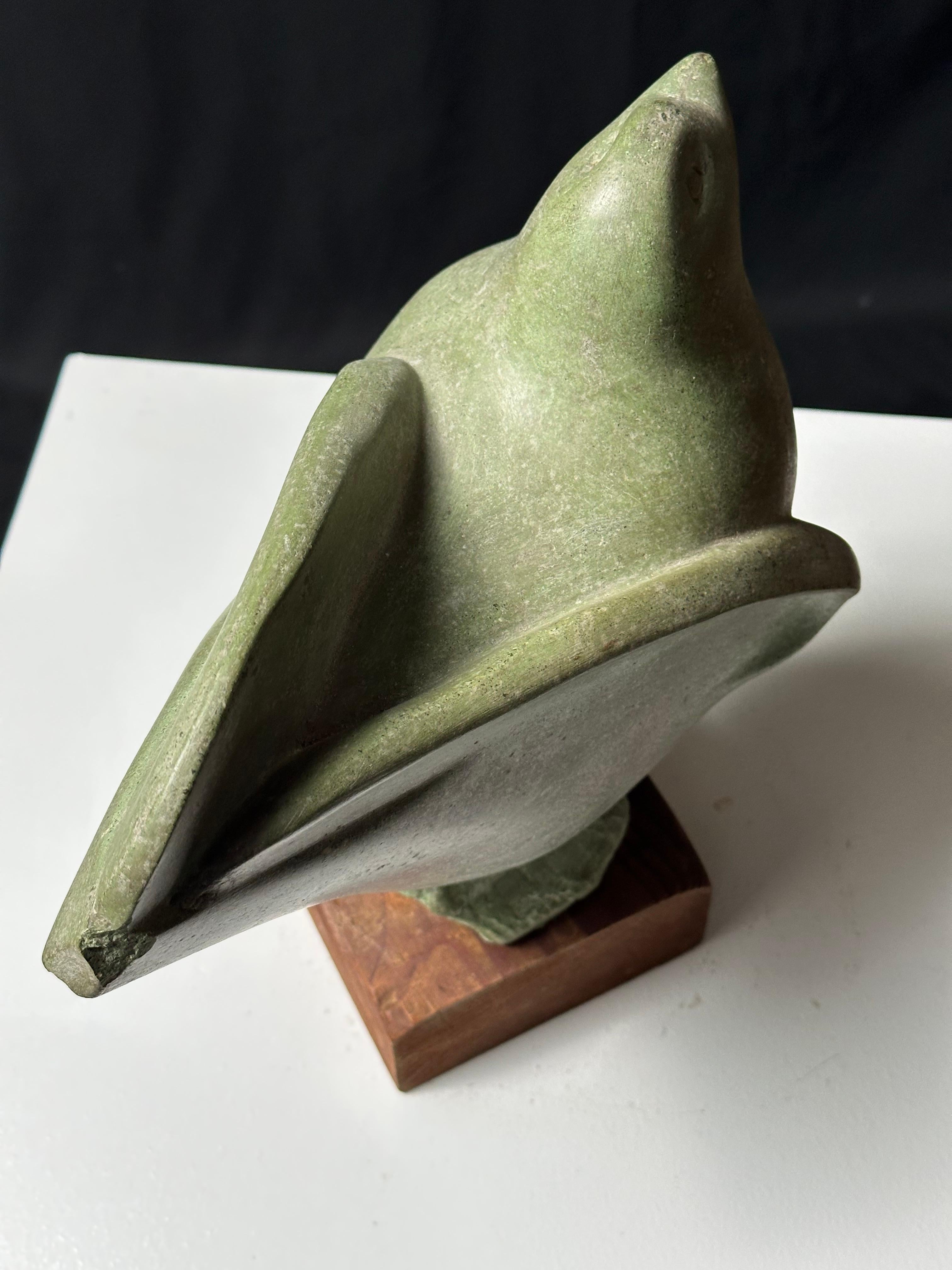 Dove For Sale 6