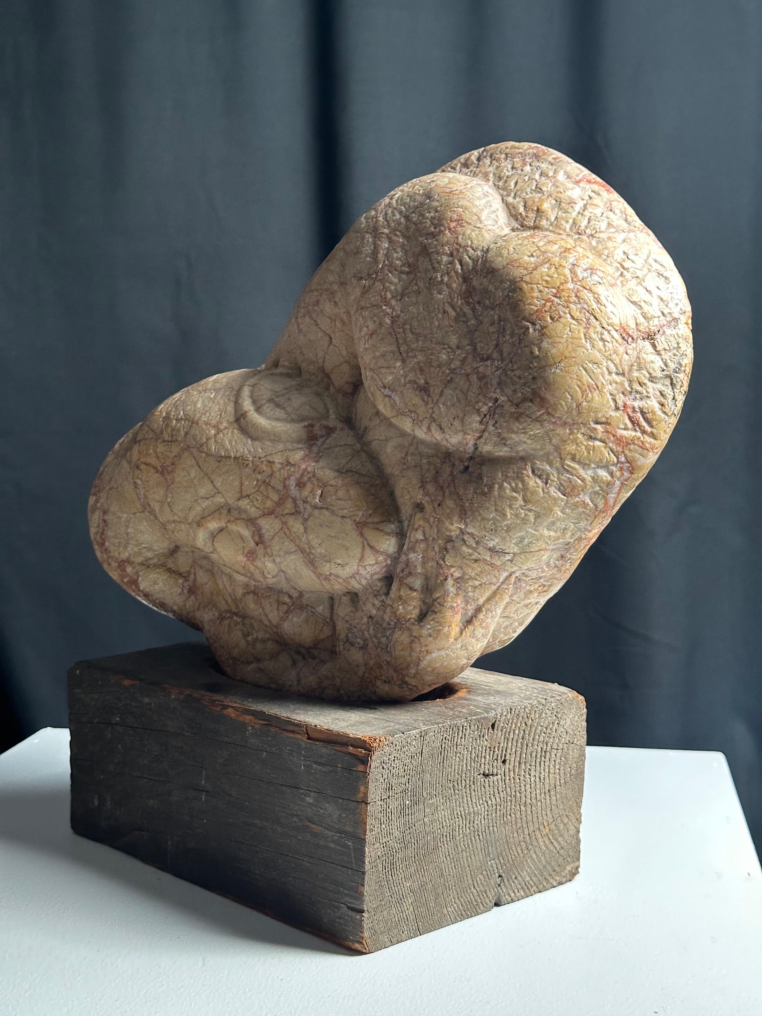 Embryo Lizard - Realist Sculpture by Mark Morrison