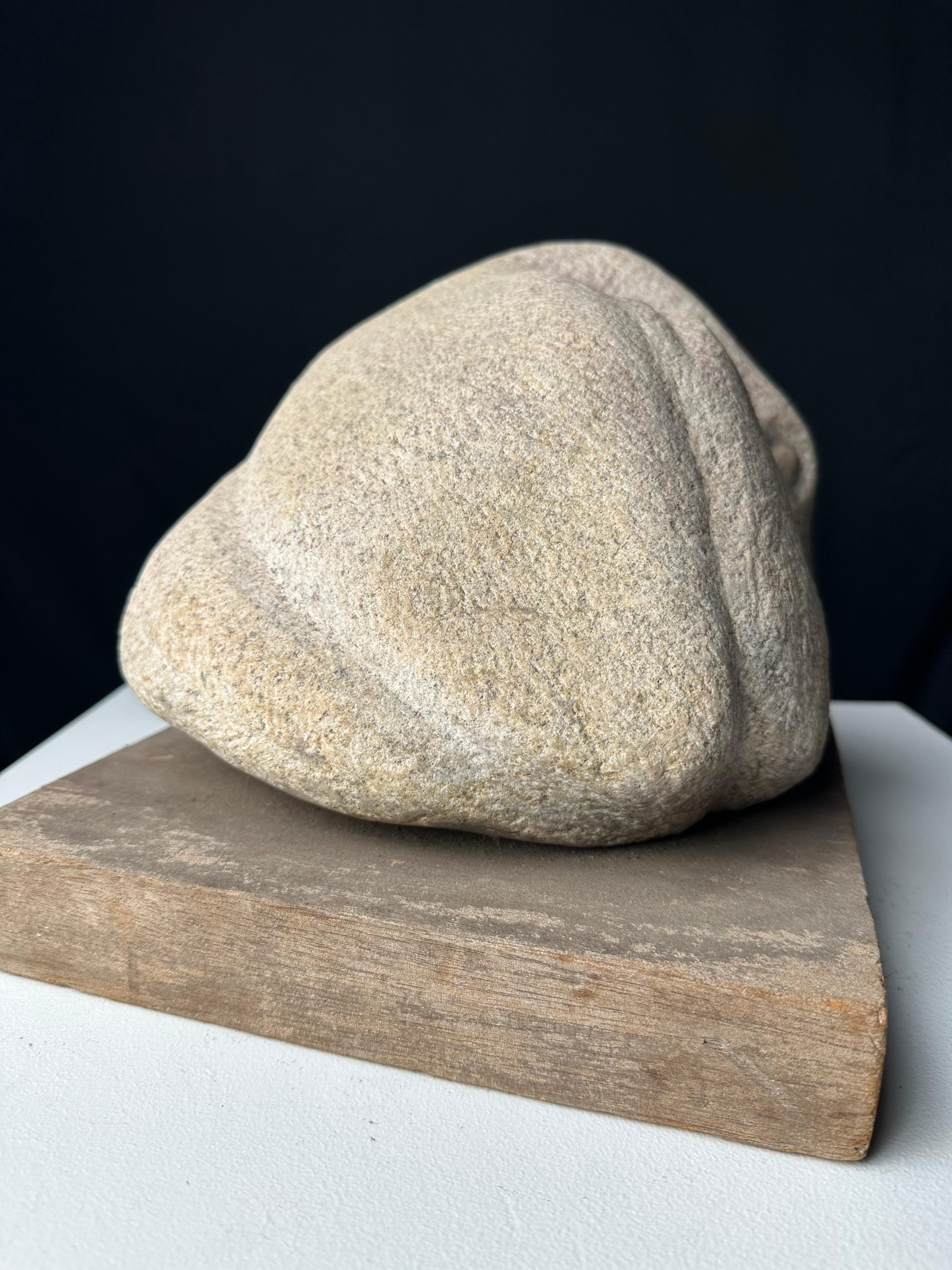 Gosling (Escultura de gansos) en venta 9