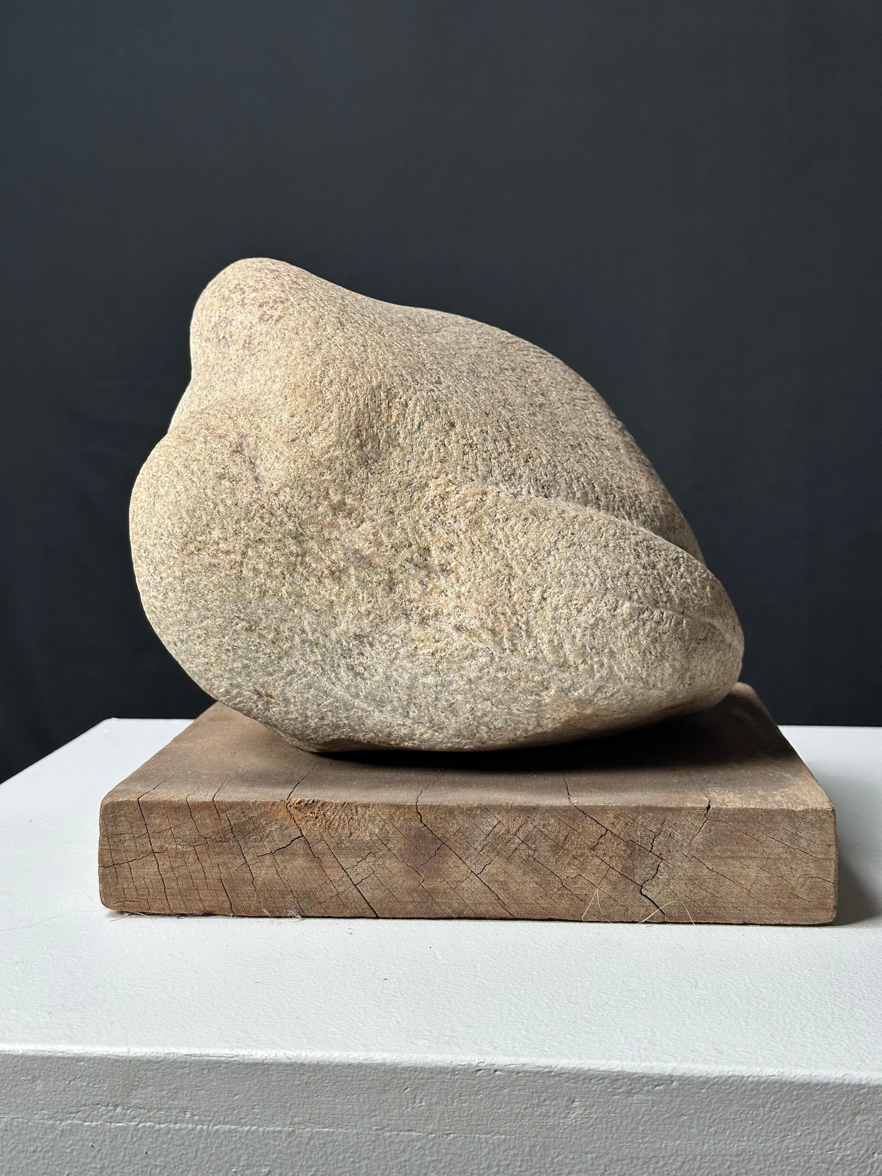 Gosling (Escultura de gansos) en venta 4