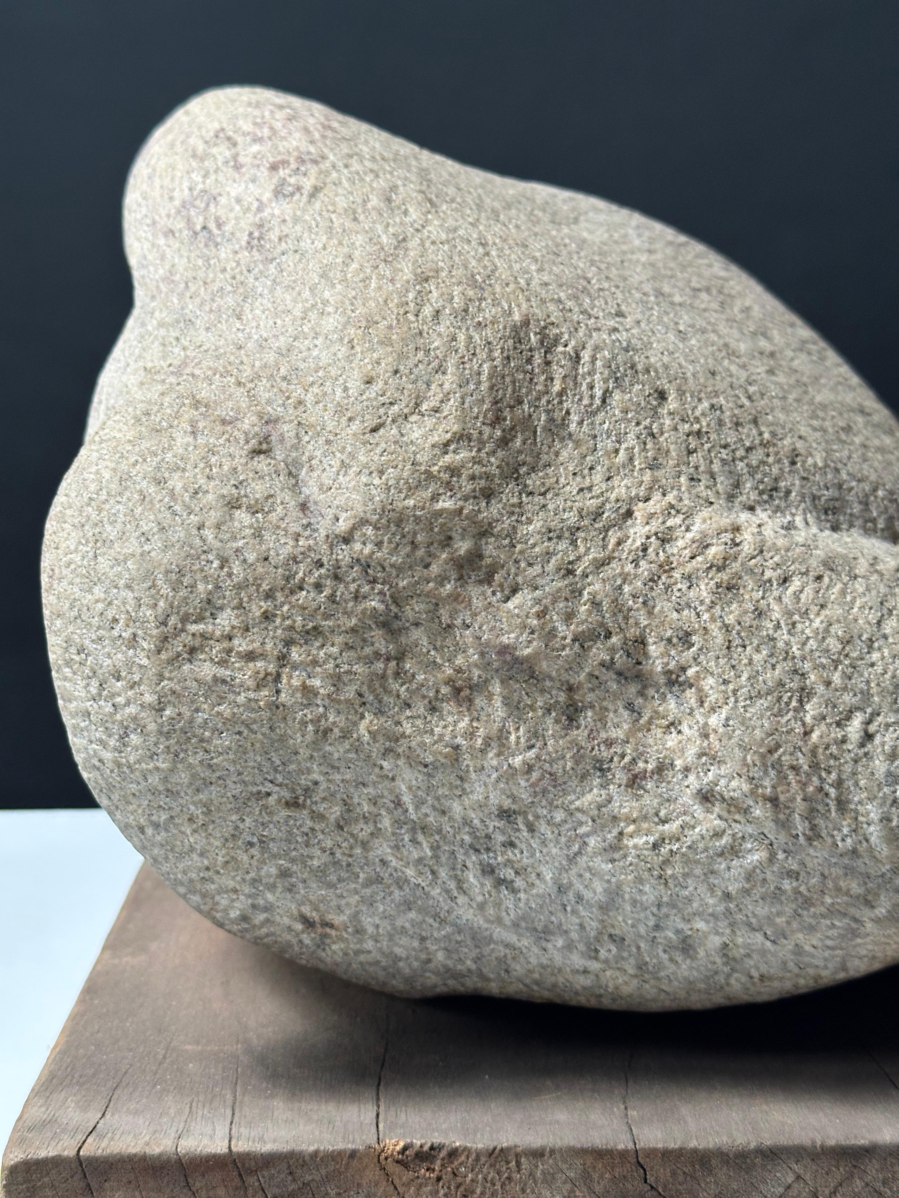 Gosling (Escultura de gansos) en venta 5