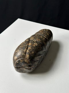 Larva