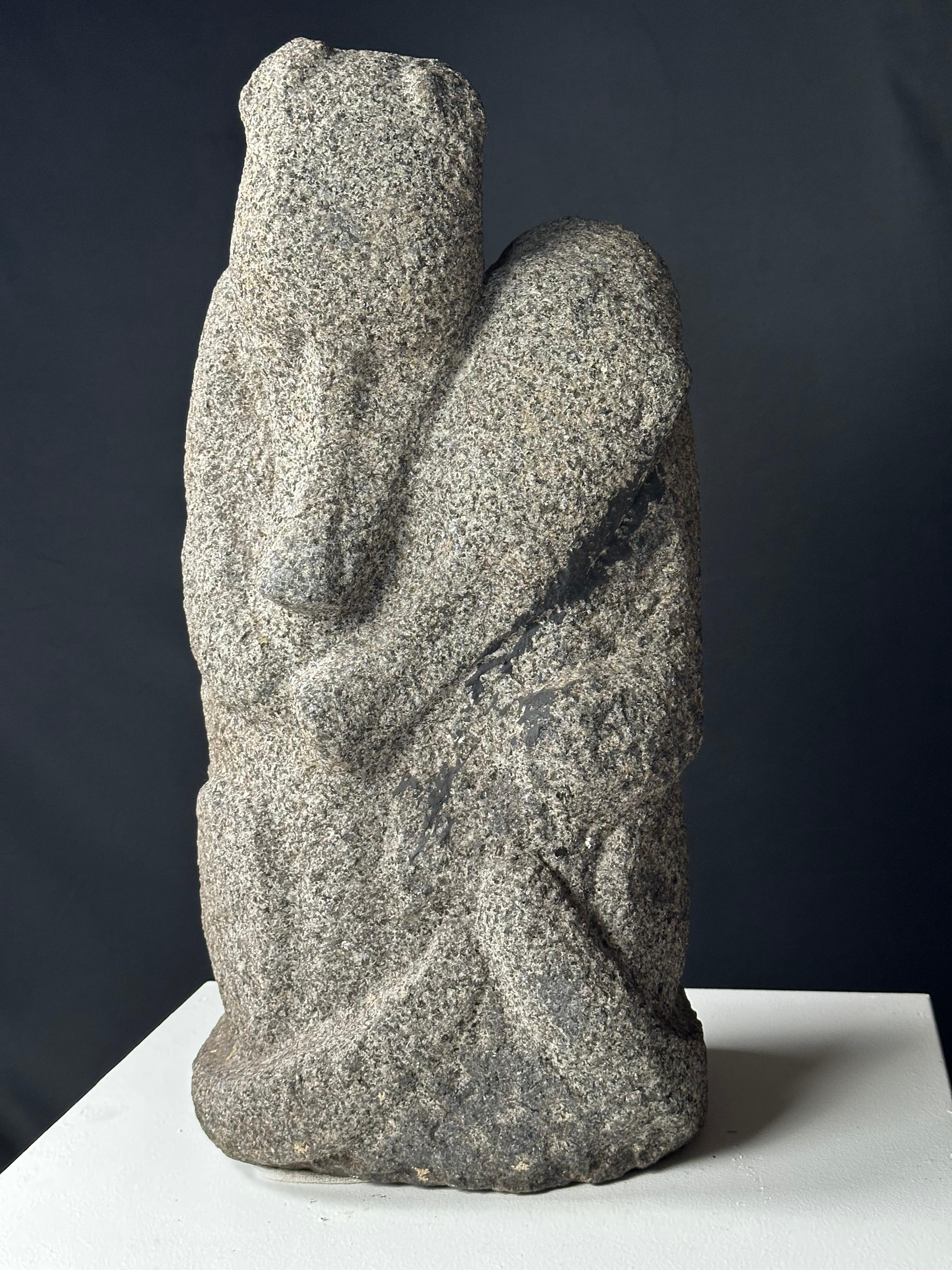 Ornitorinchi in vendita 9