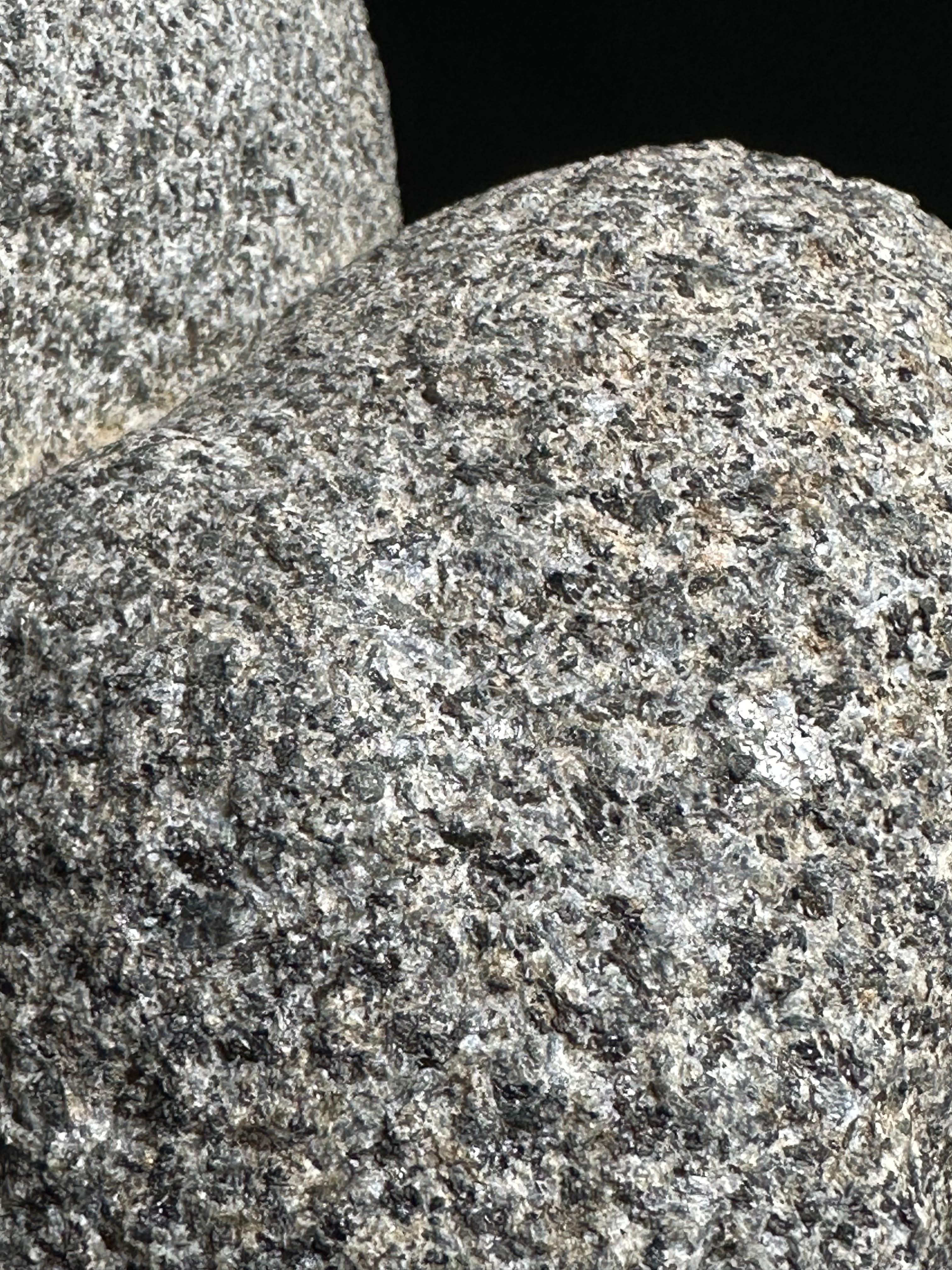 Ornitorinchi in vendita 10