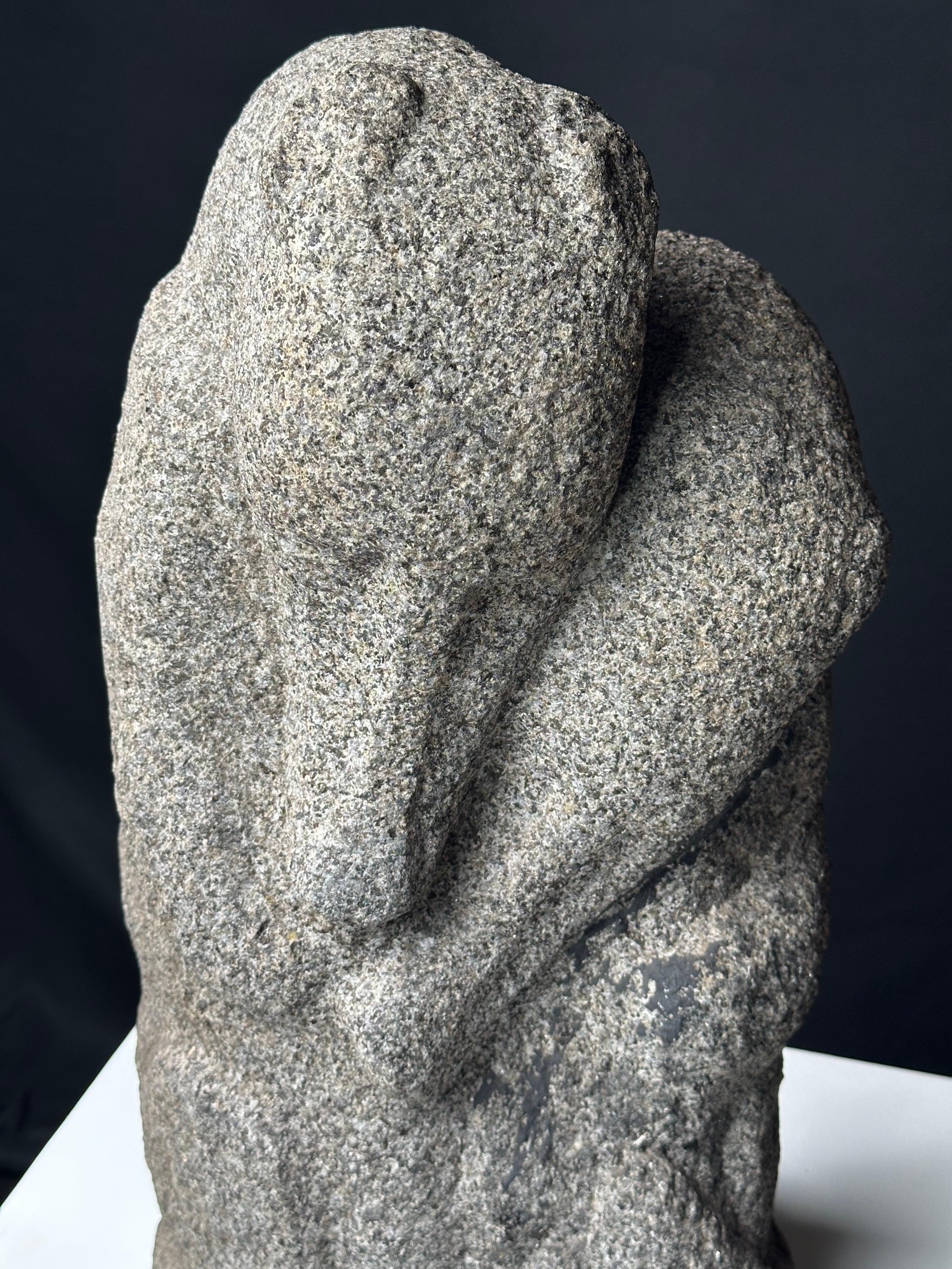 Ornitorinchi in vendita 11