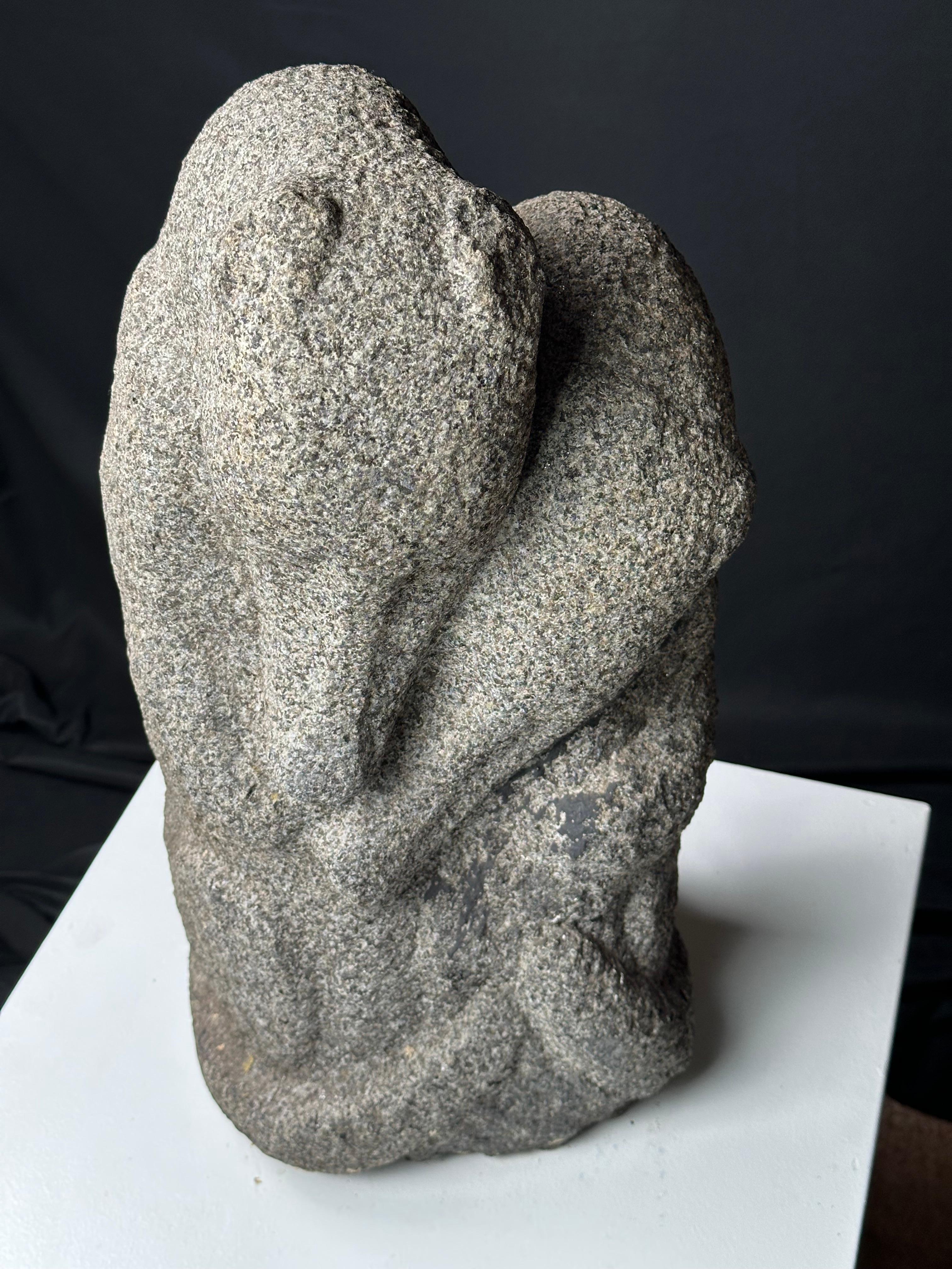 Ornitorinchi in vendita 12