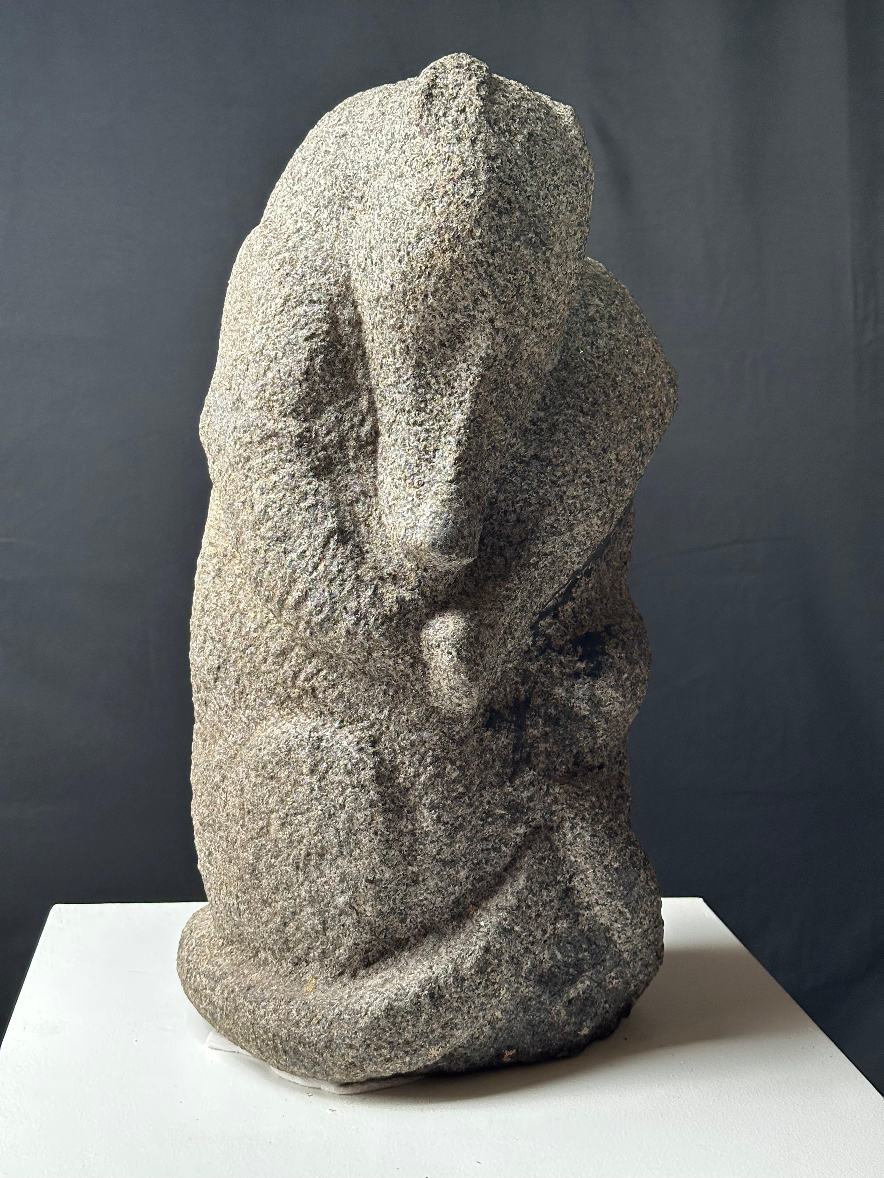 Ornitorinchi in vendita 13
