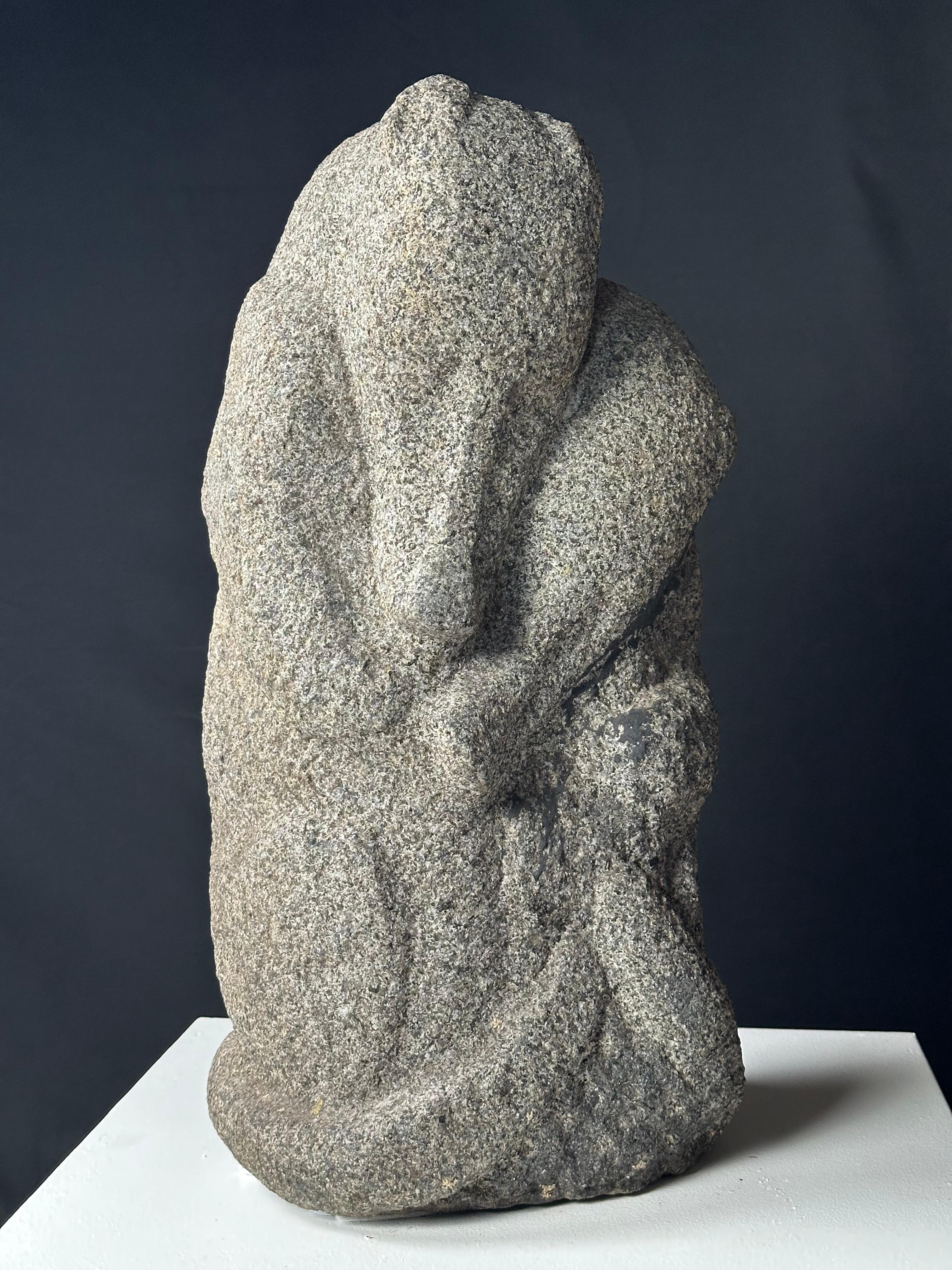 Ornitorinchi in vendita 6