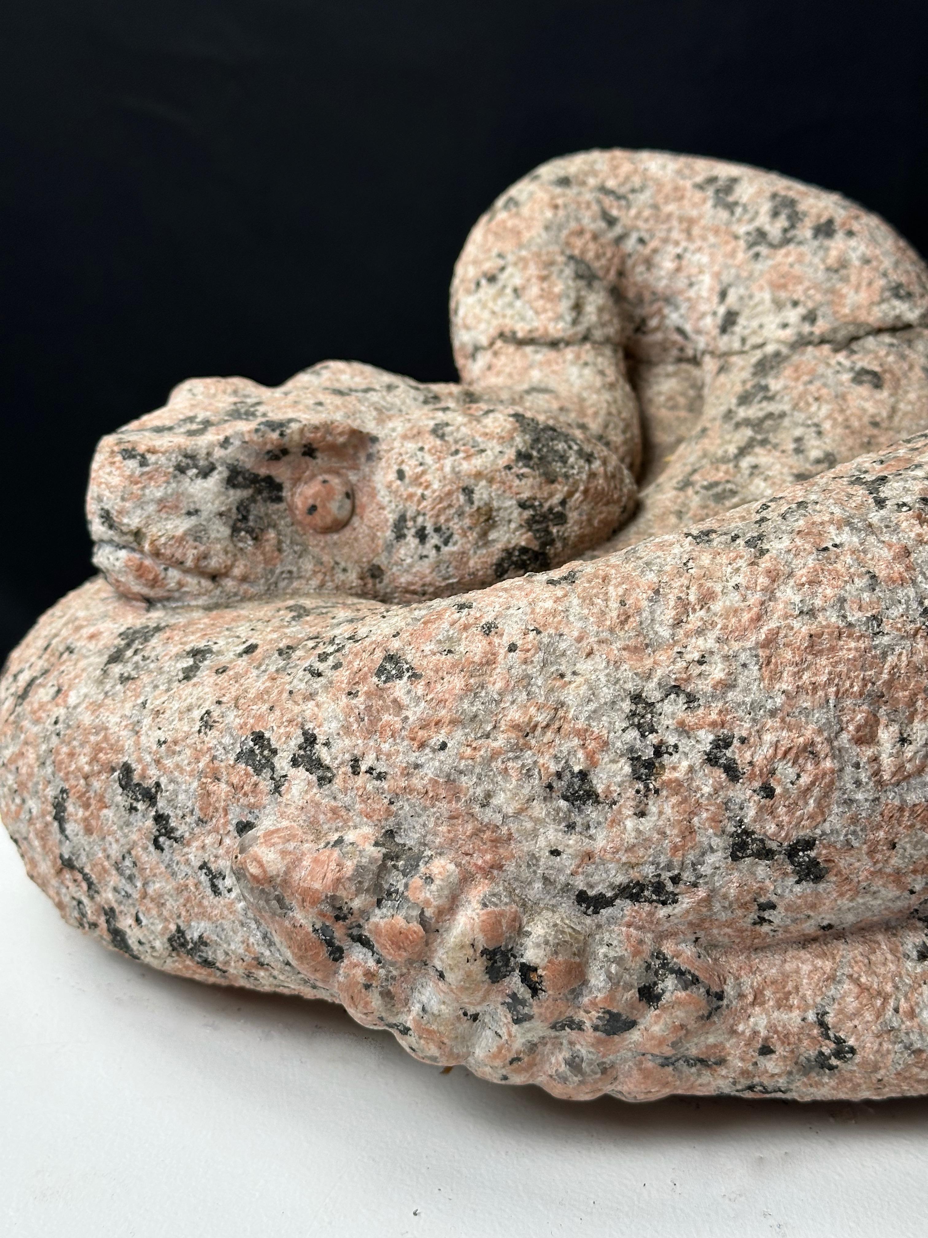 Serpiente de cascabel en venta 2