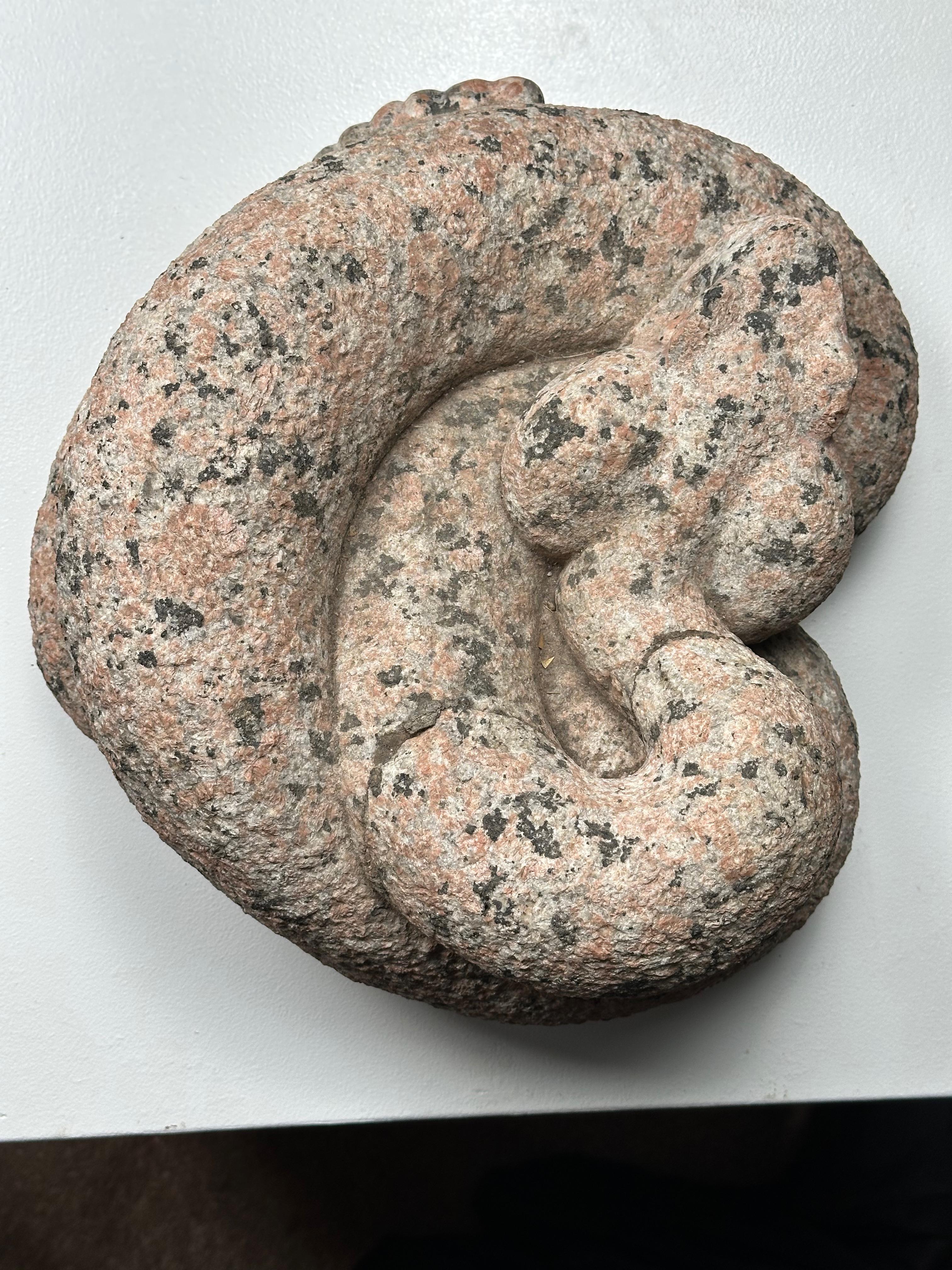Serpiente de cascabel en venta 4