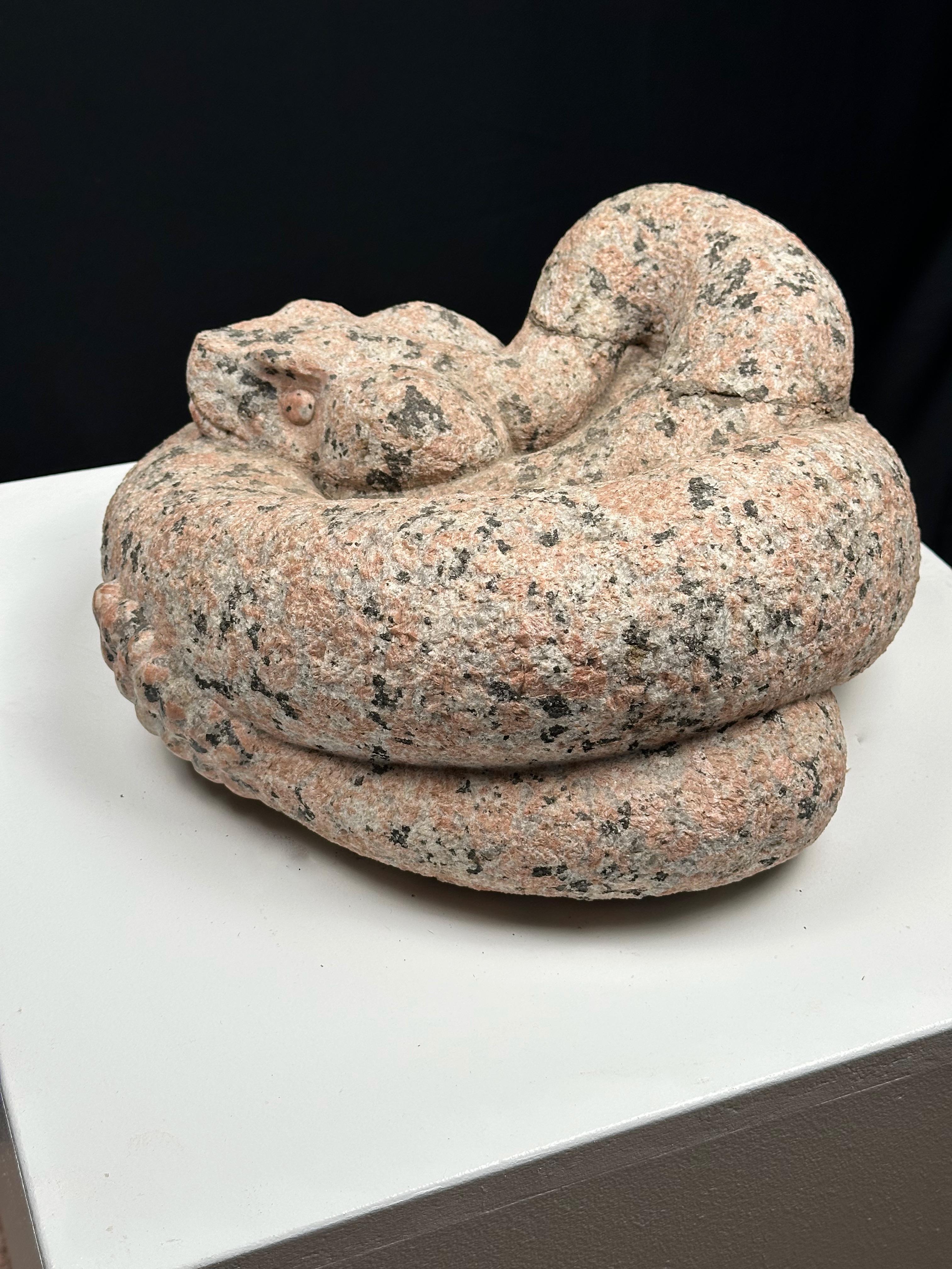 Serpiente de cascabel en venta 5