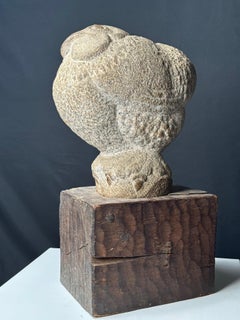 Profeta del tempo (Gallo)