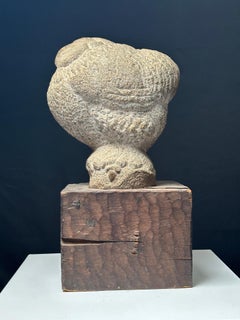 Weather Prophet (Rooster)